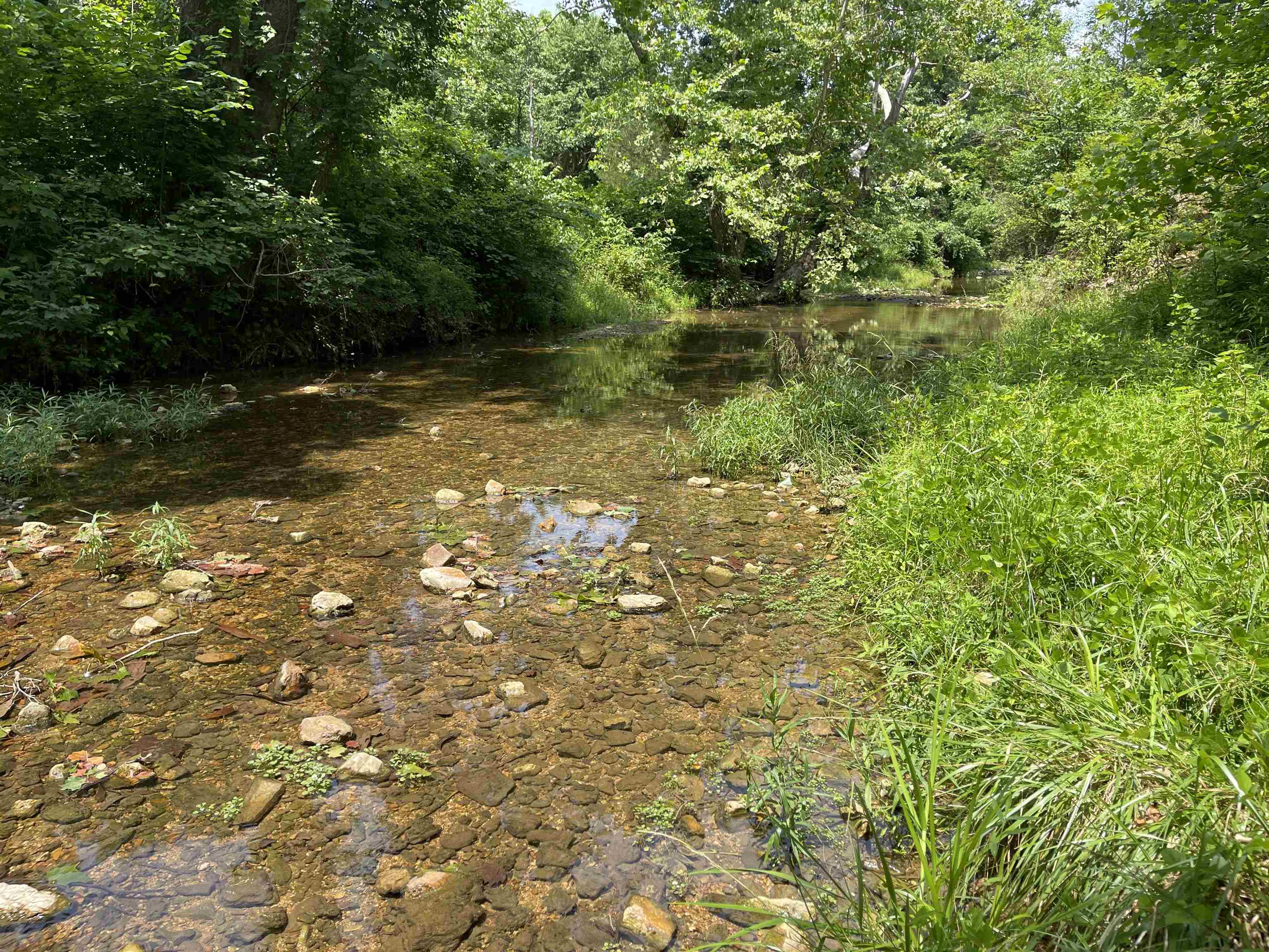 Tbd Off S 63 Highway Highway Property Photo 22