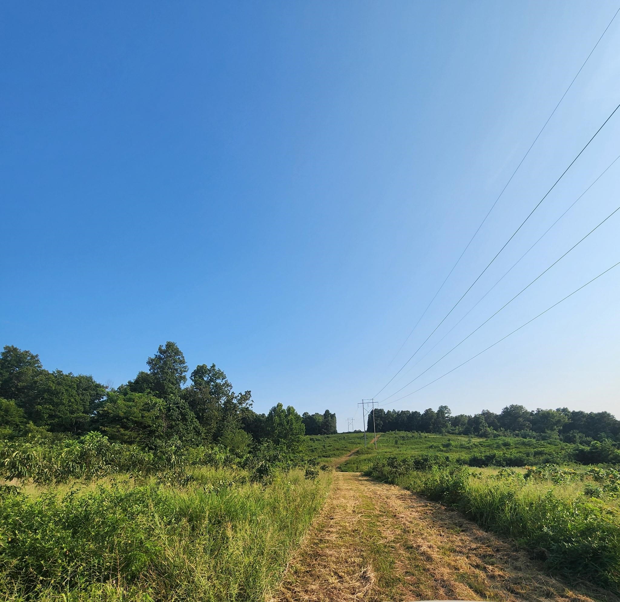 Tbd Off S 63 Highway Highway Property Photo 23