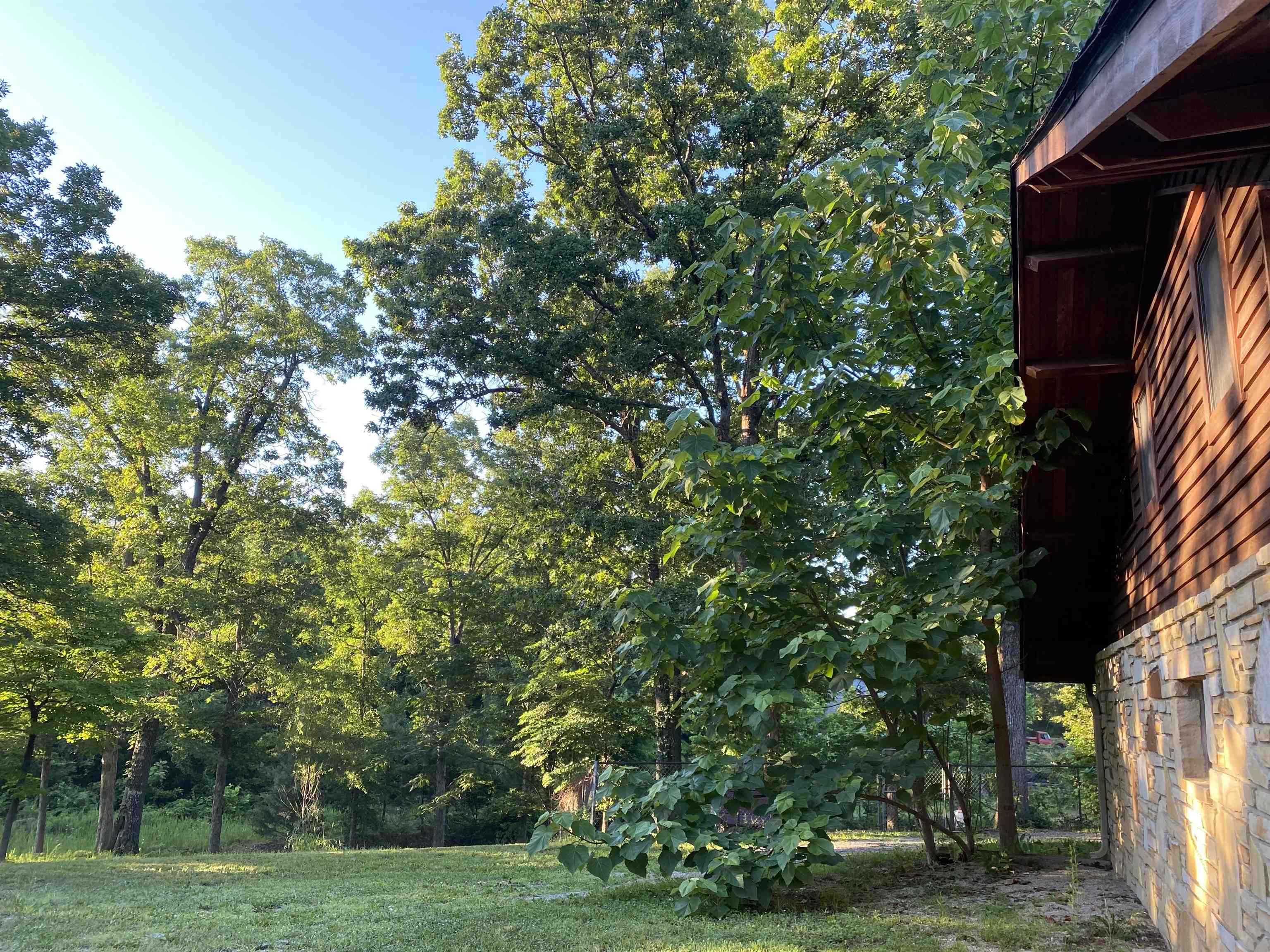 2616 Hwy 62/412 Property Photo 3