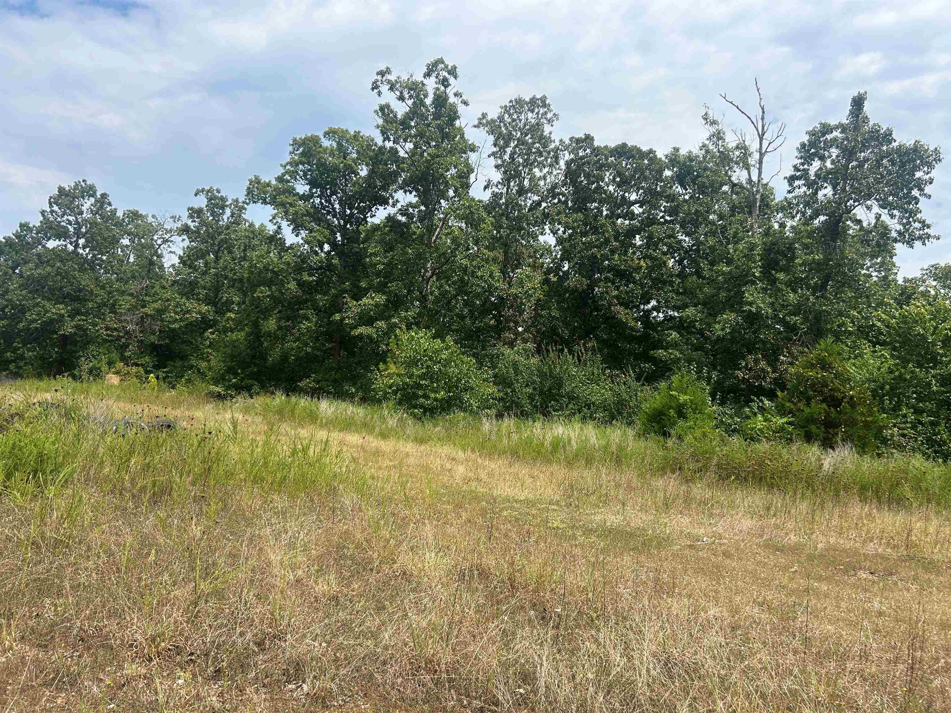 2616 Hwy 62/412 Property Photo 47