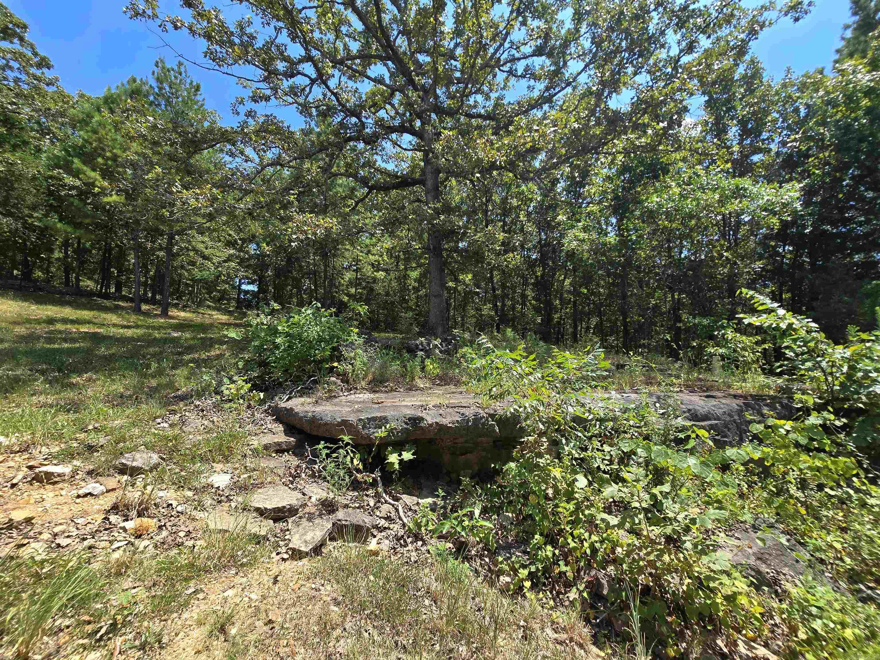 485 & 497 Cr 176 Property Photo 34