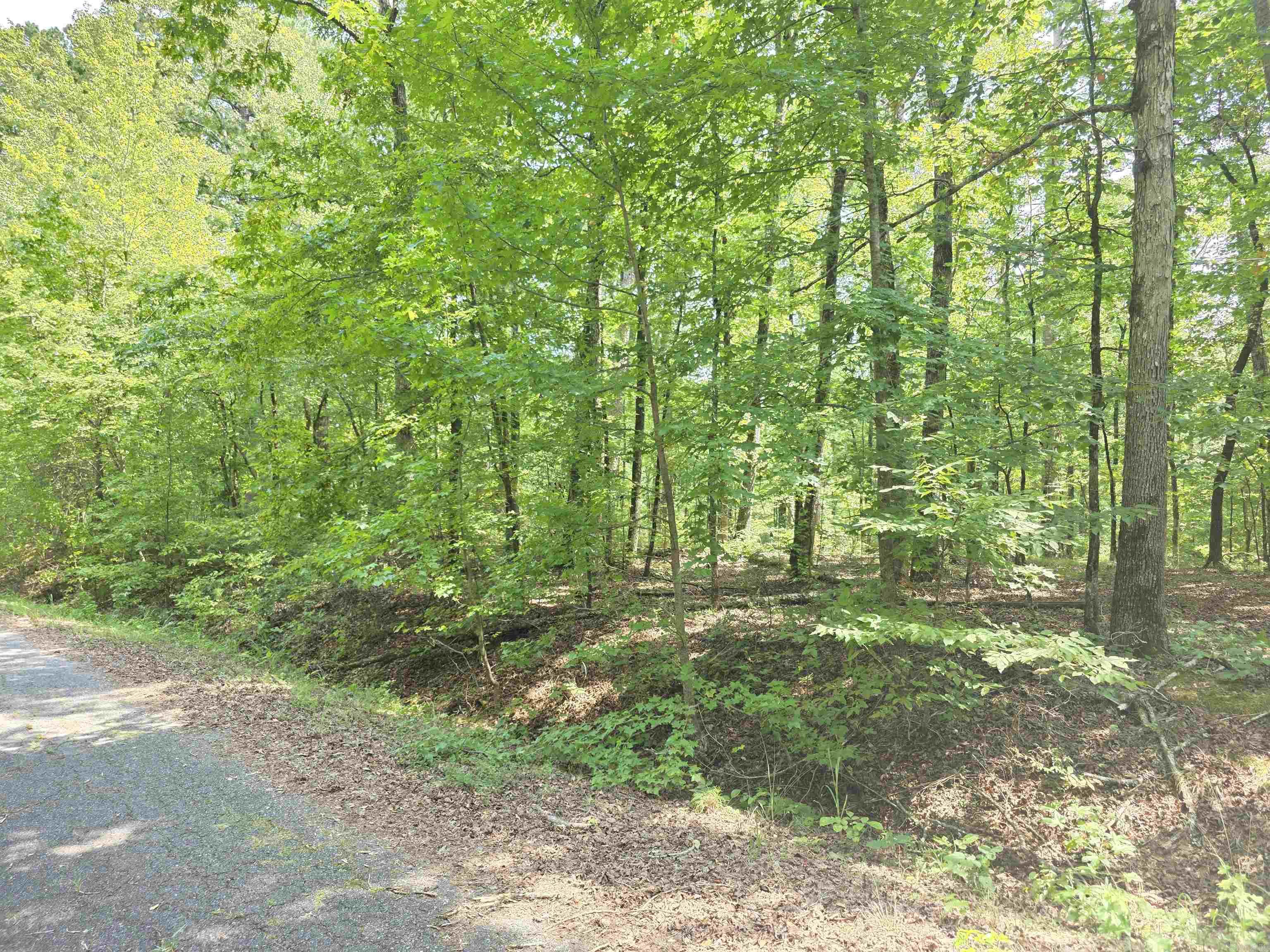 153 Raso Way