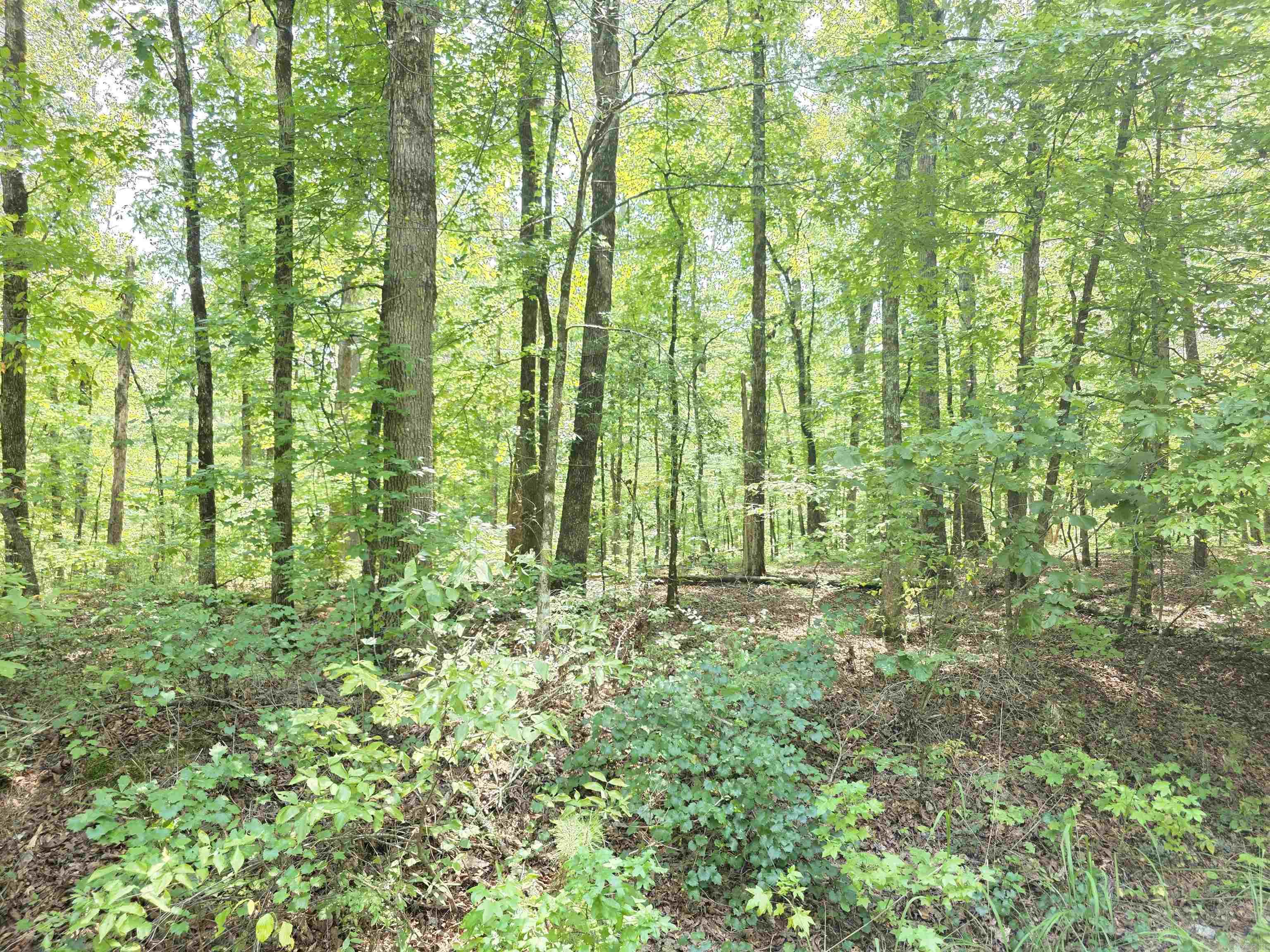 153 Raso Way Property Photo 3