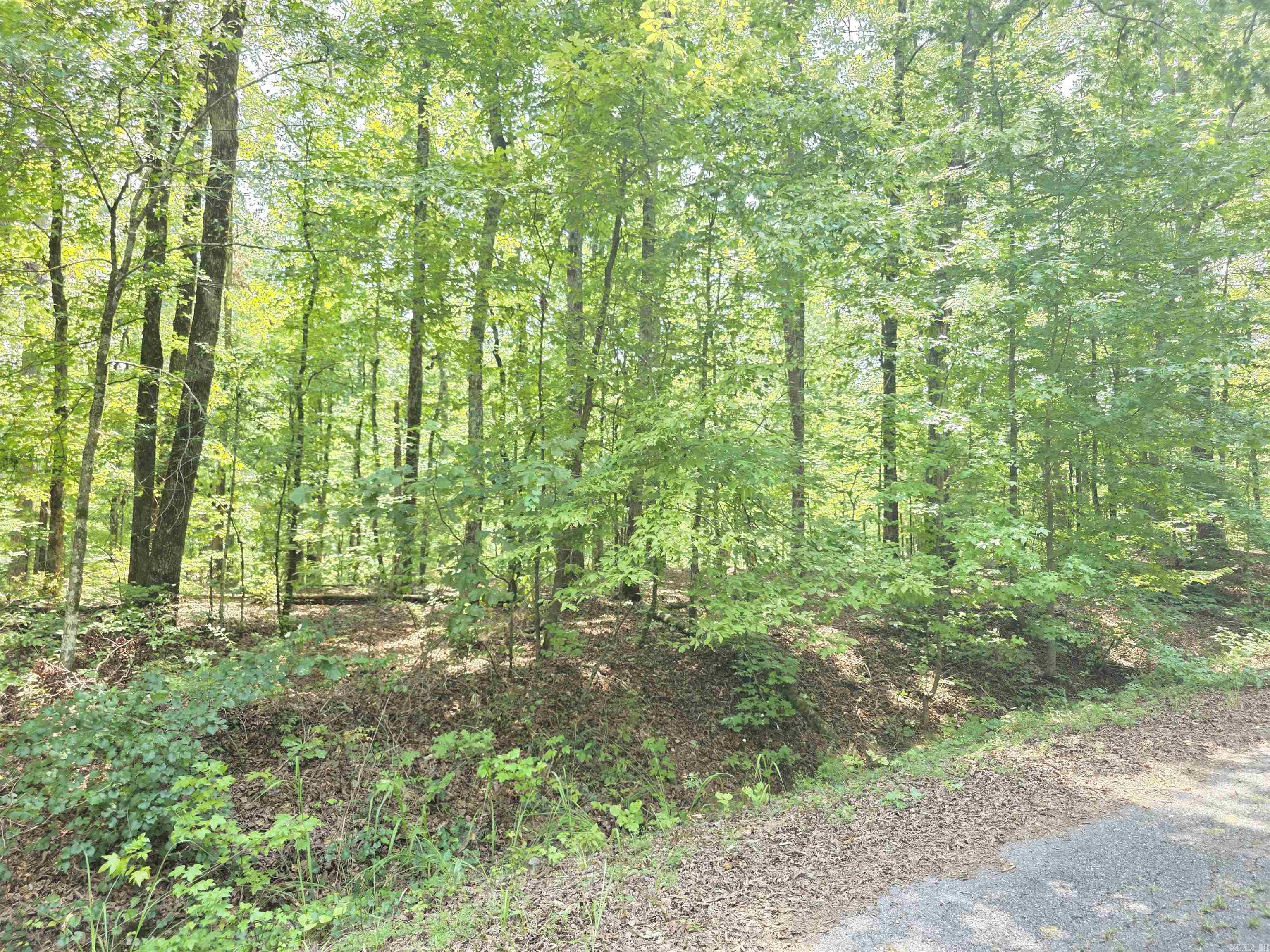 153 Raso Way Property Photo 4