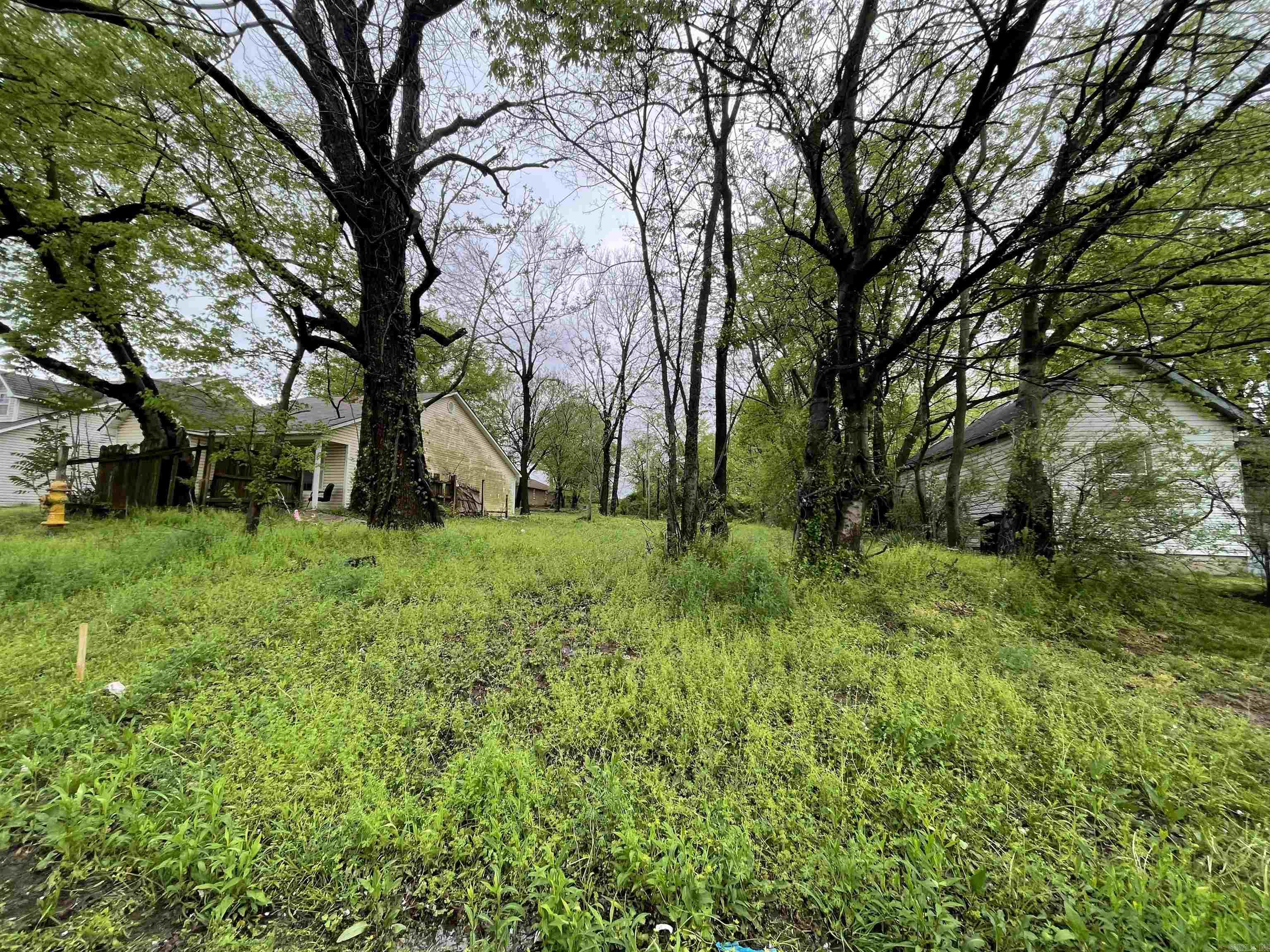 1417 Lyman Street Property Photo 1