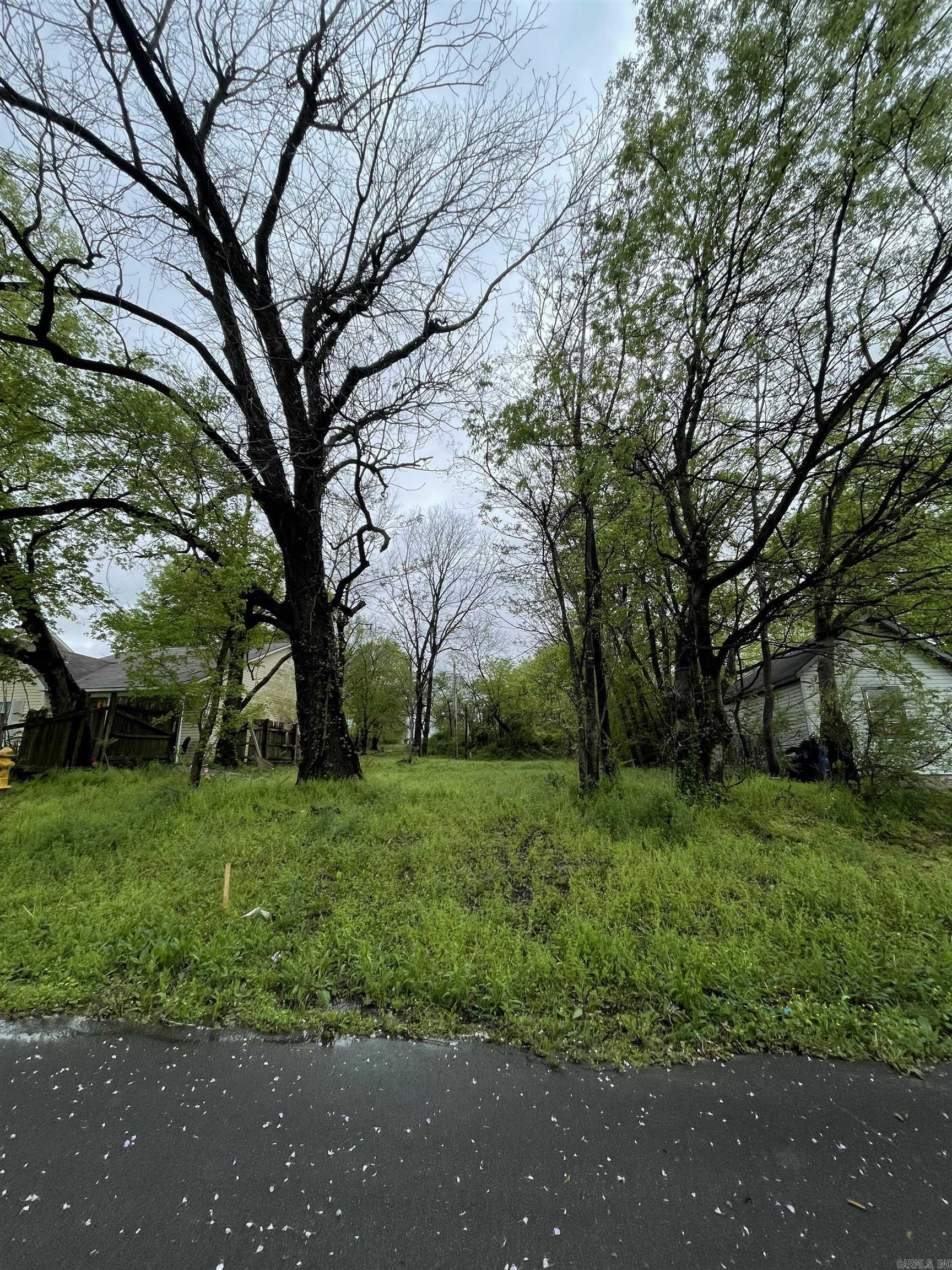 1417 Lyman Street Property Photo 3