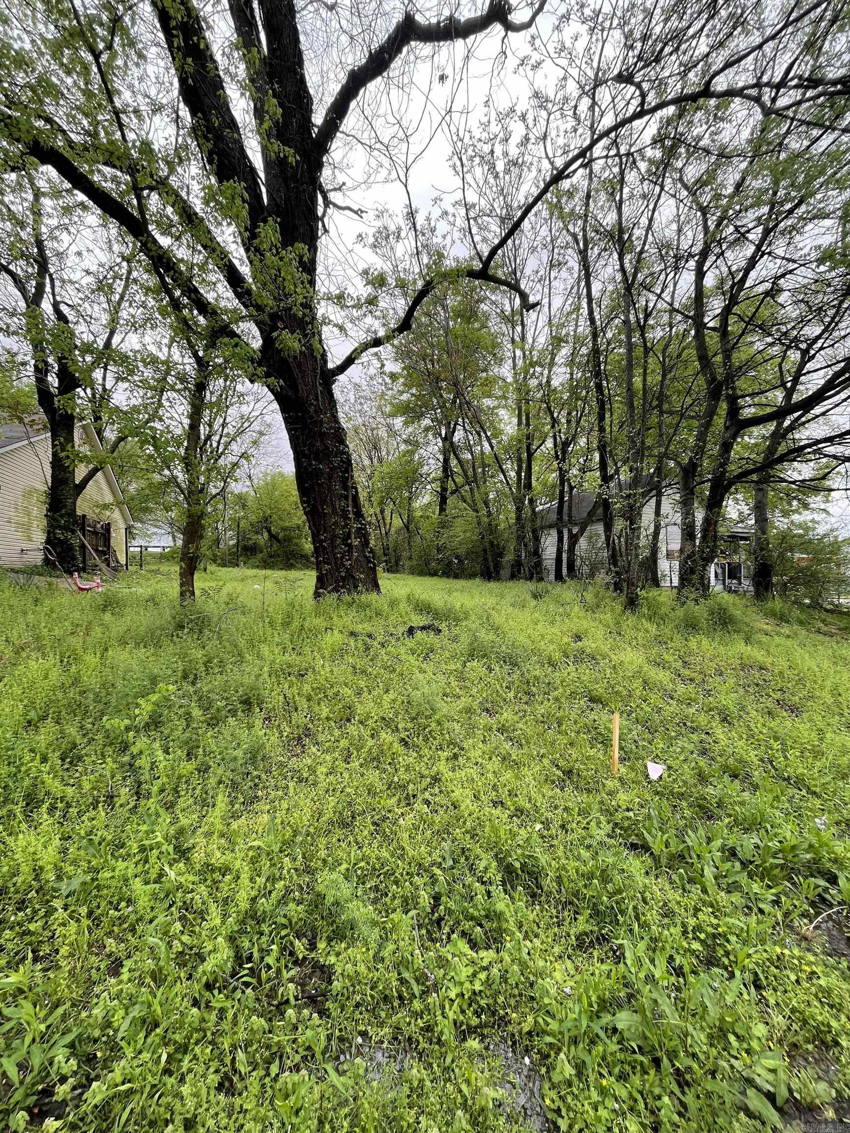 1417 Lyman Street Property Photo 4