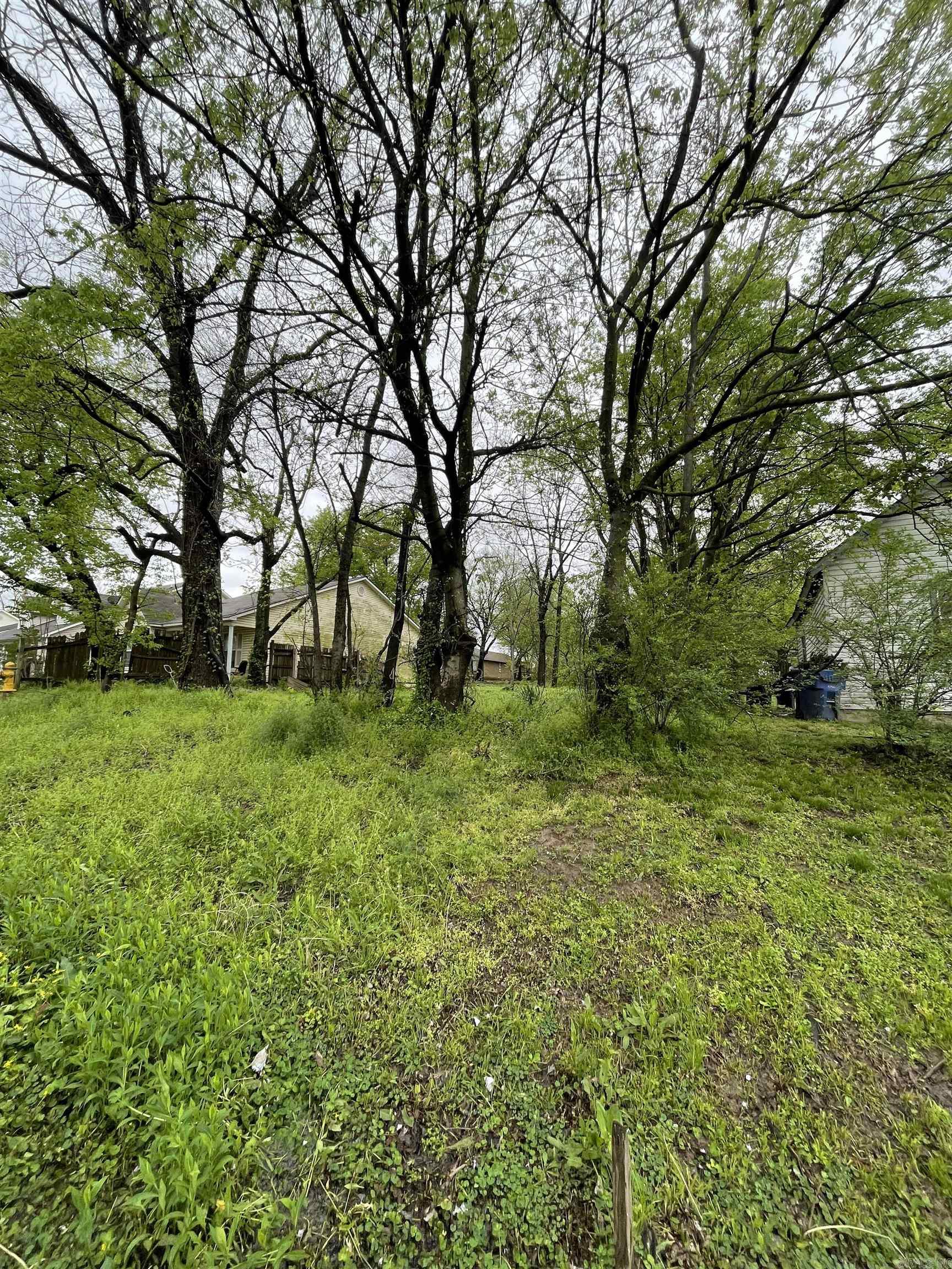 1417 Lyman Street Property Photo 6