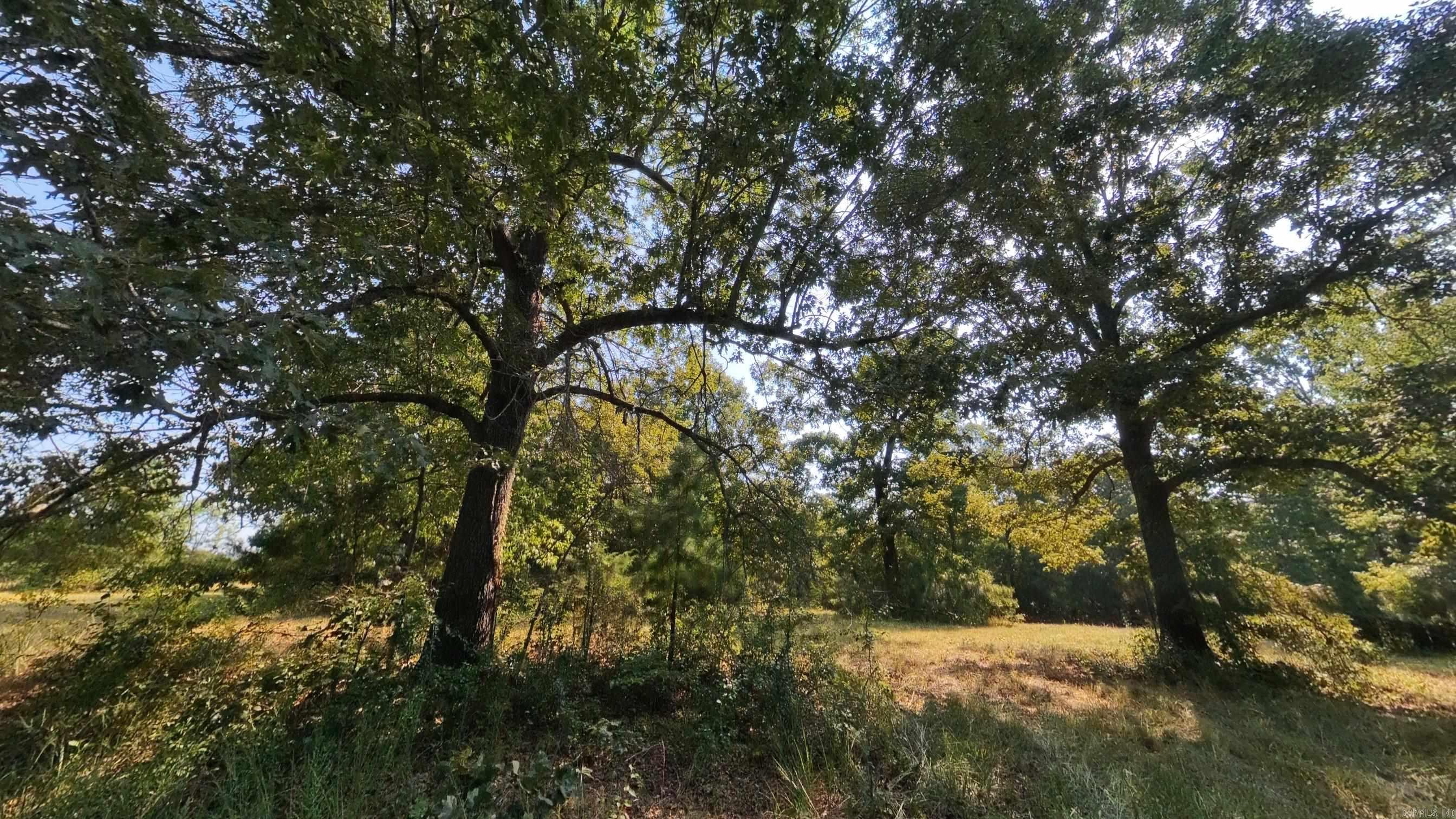 000 Highway 62/412 Property Photo 10