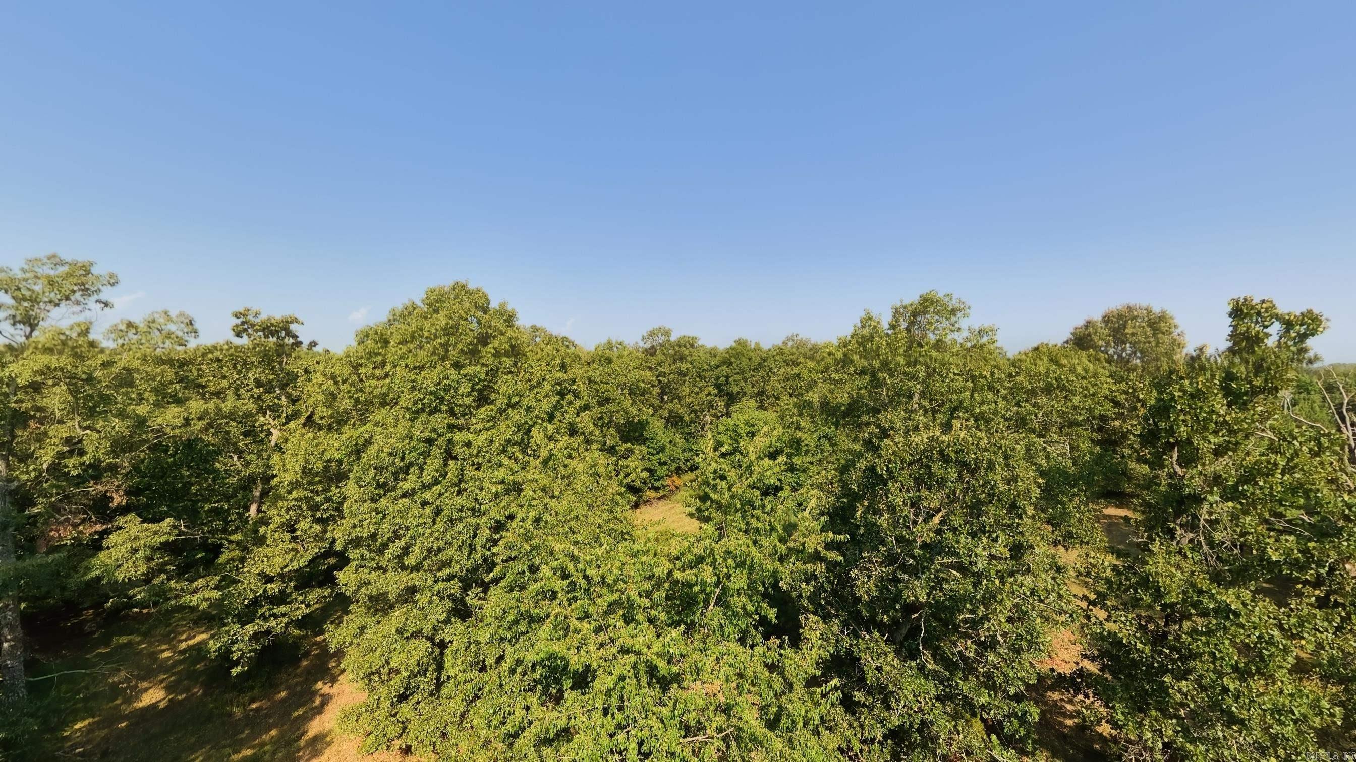 000 Highway 62/412 Property Photo 17