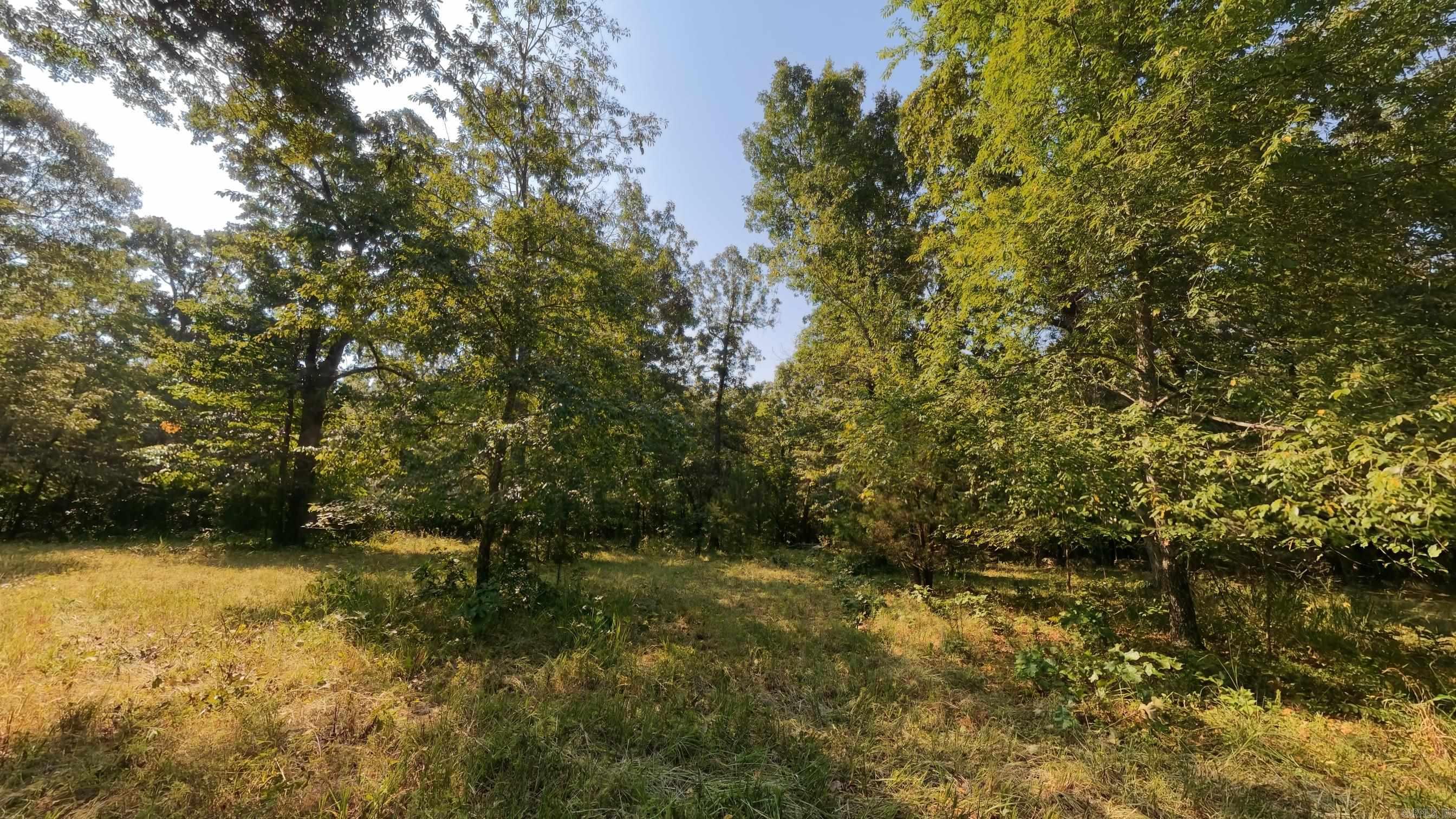 000 Highway 62/412 Property Photo 21