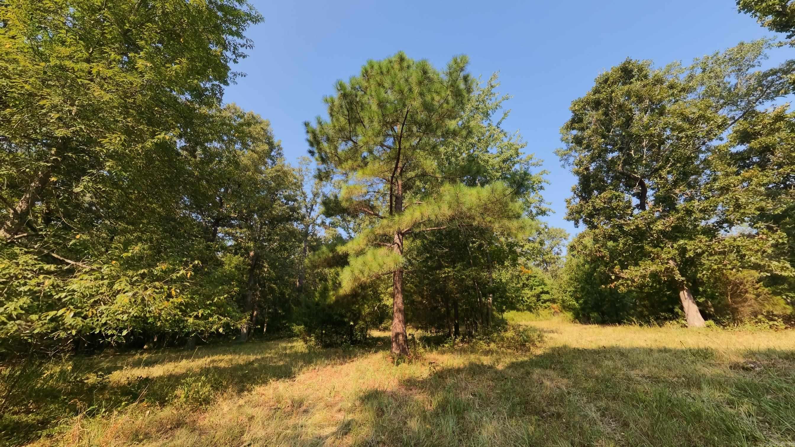000 Highway 62/412 Property Photo 22