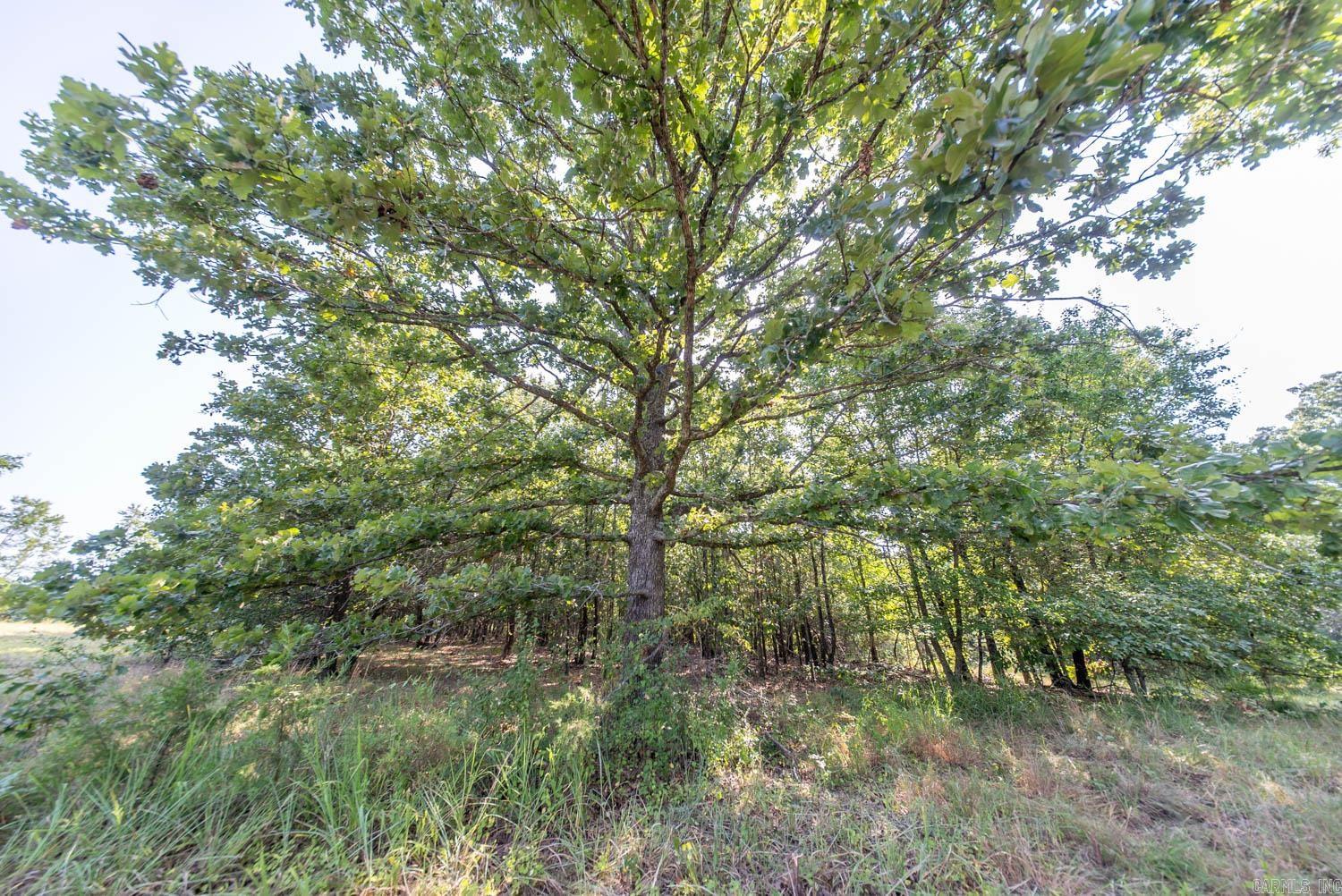 000 Highway 62/412 Property Photo 23