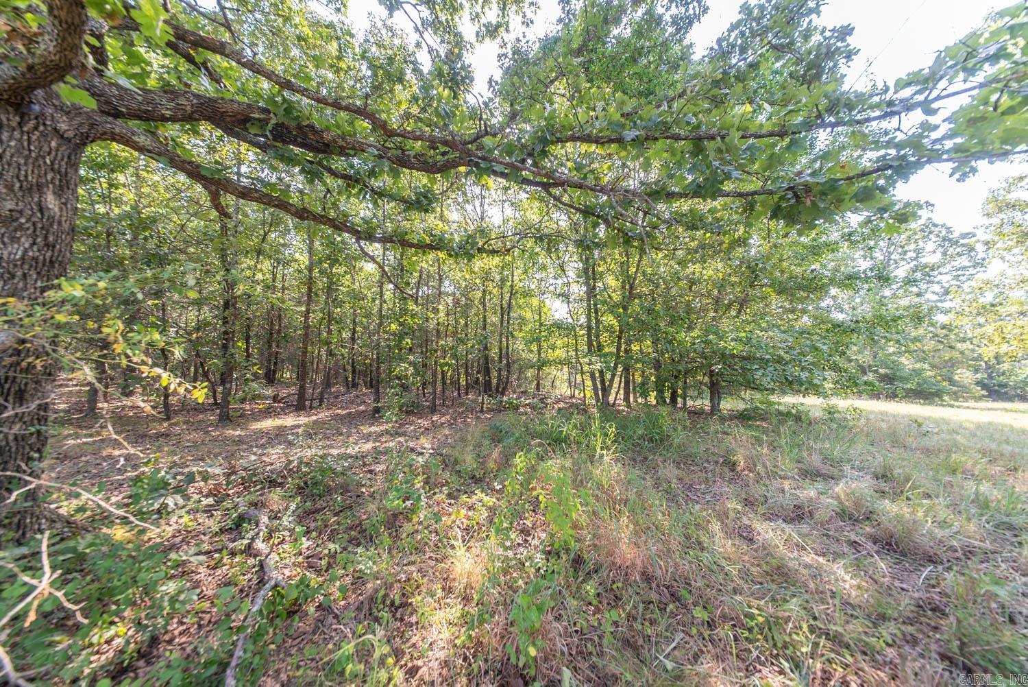 000 Highway 62/412 Property Photo 26