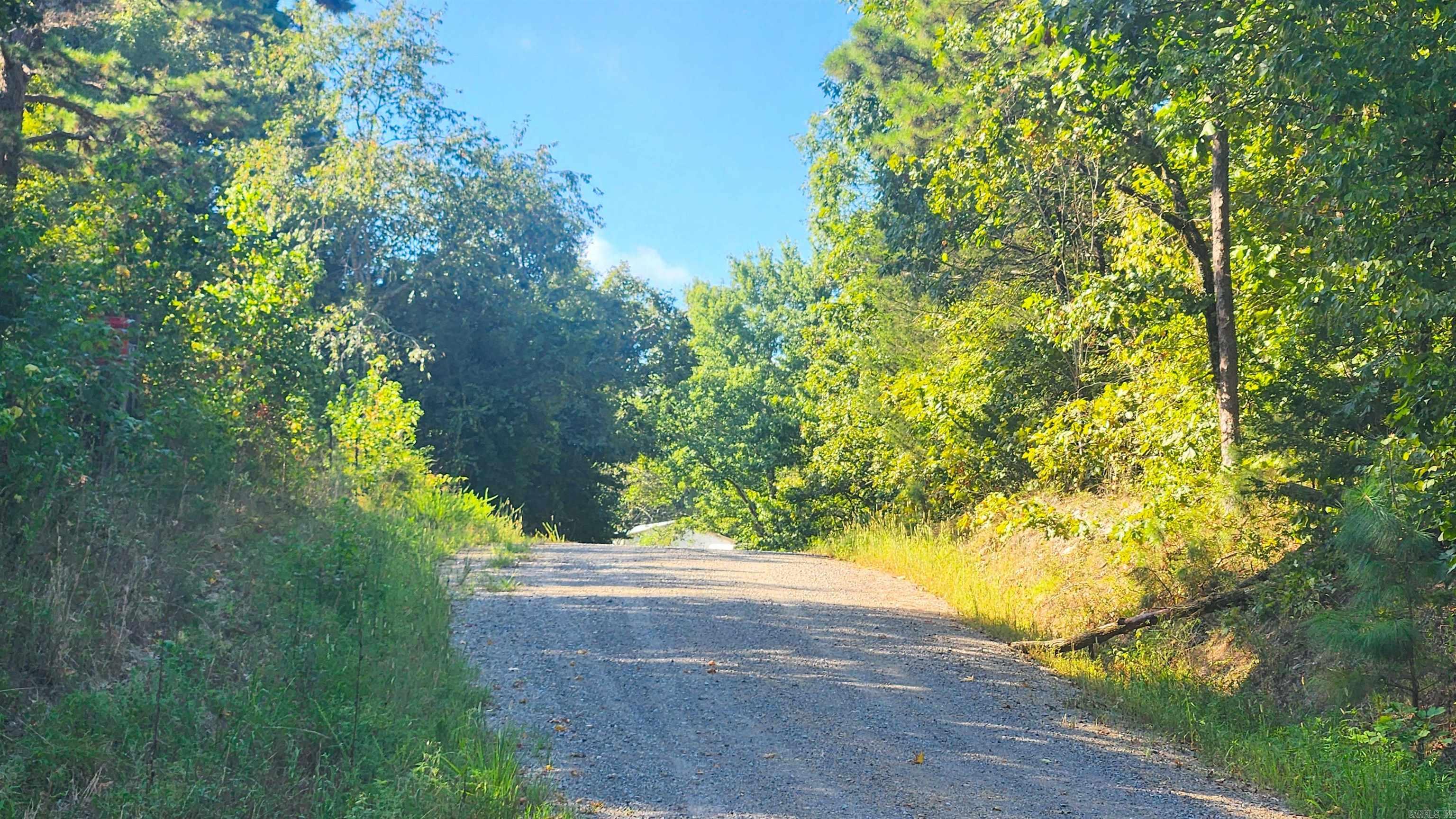 49 Bobby's Lane Property Photo 31