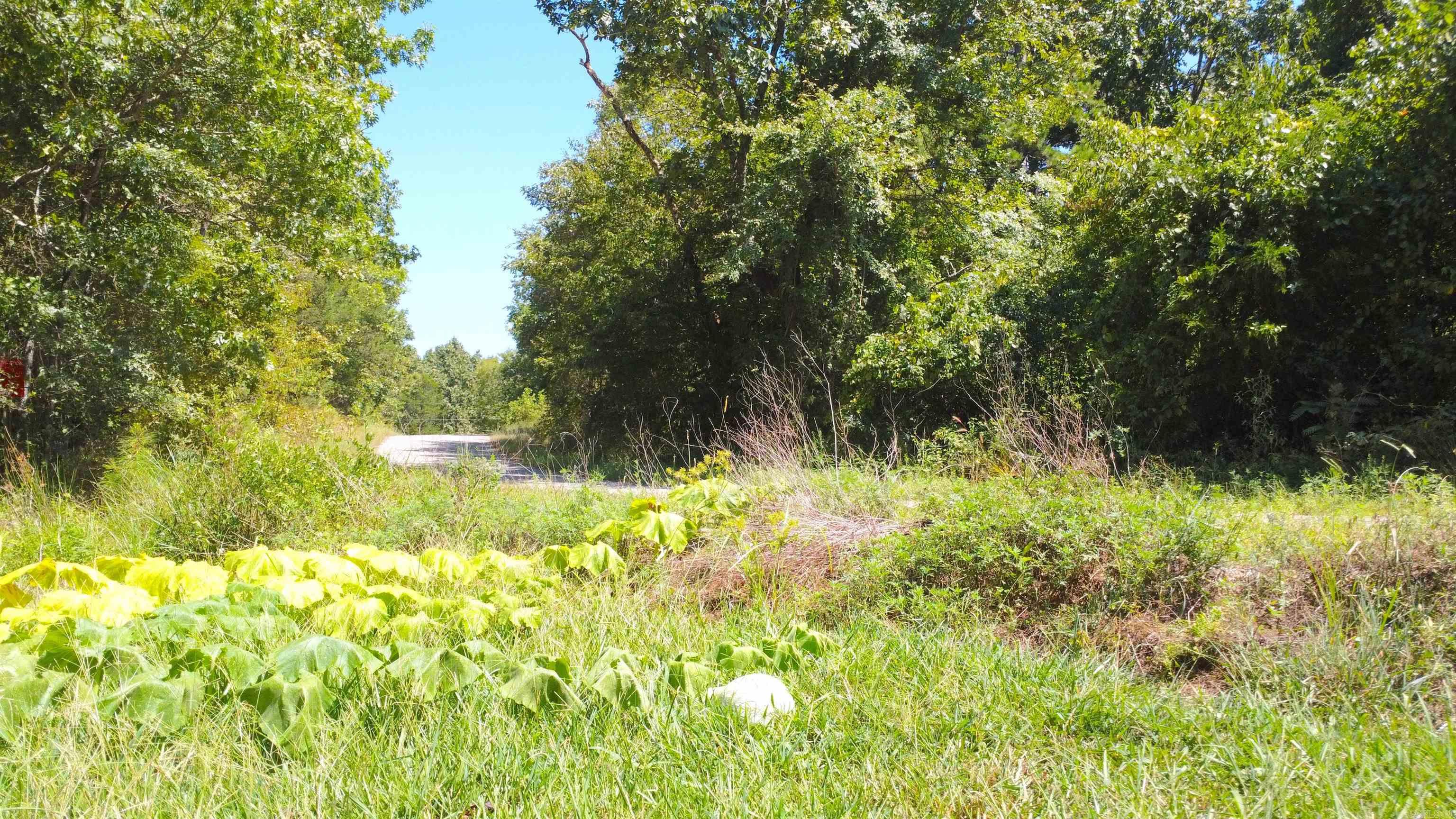 49 Bobby's Lane Property Photo 42