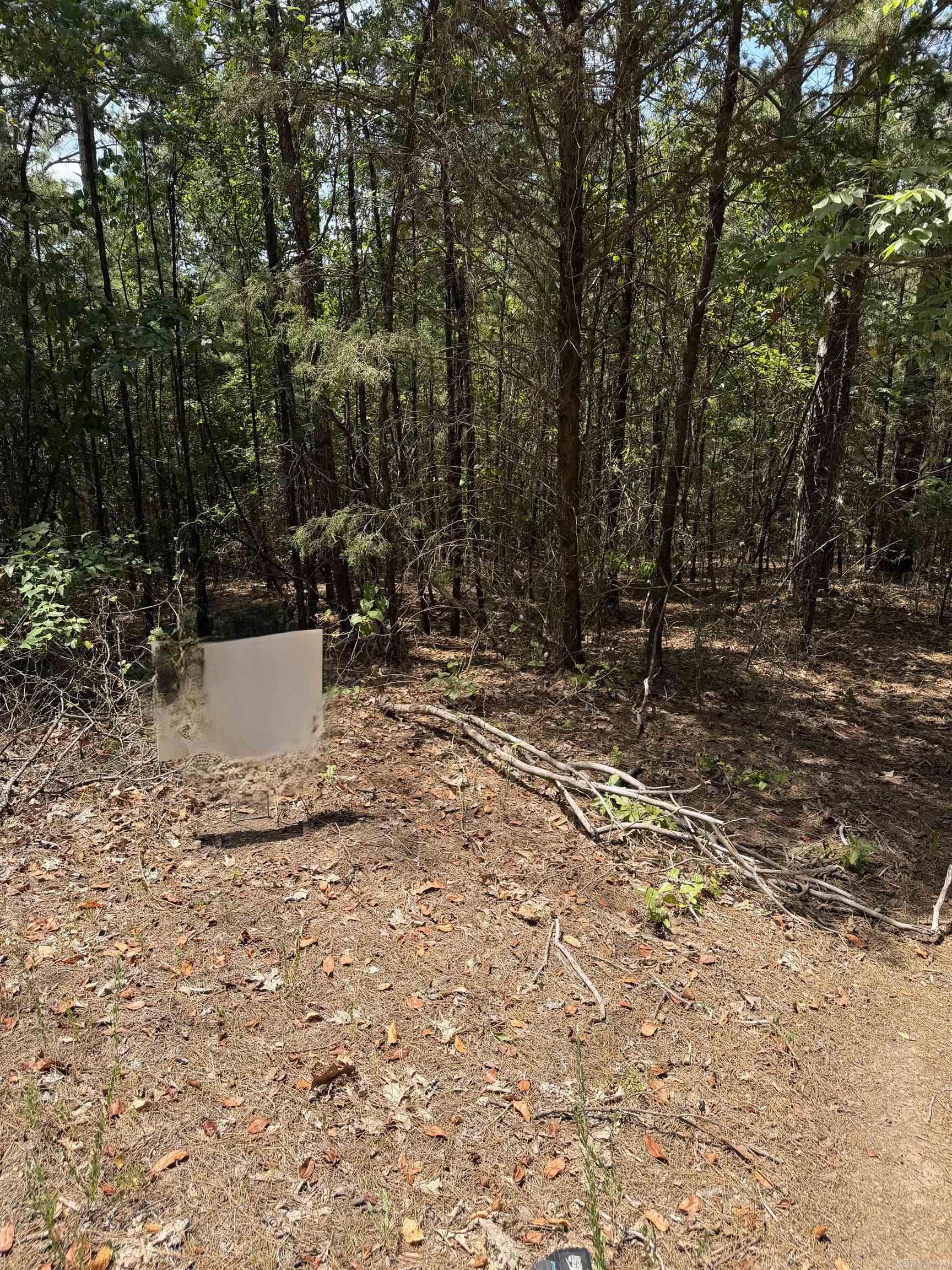 0 Sandy Flat Rd. Property Photo 3