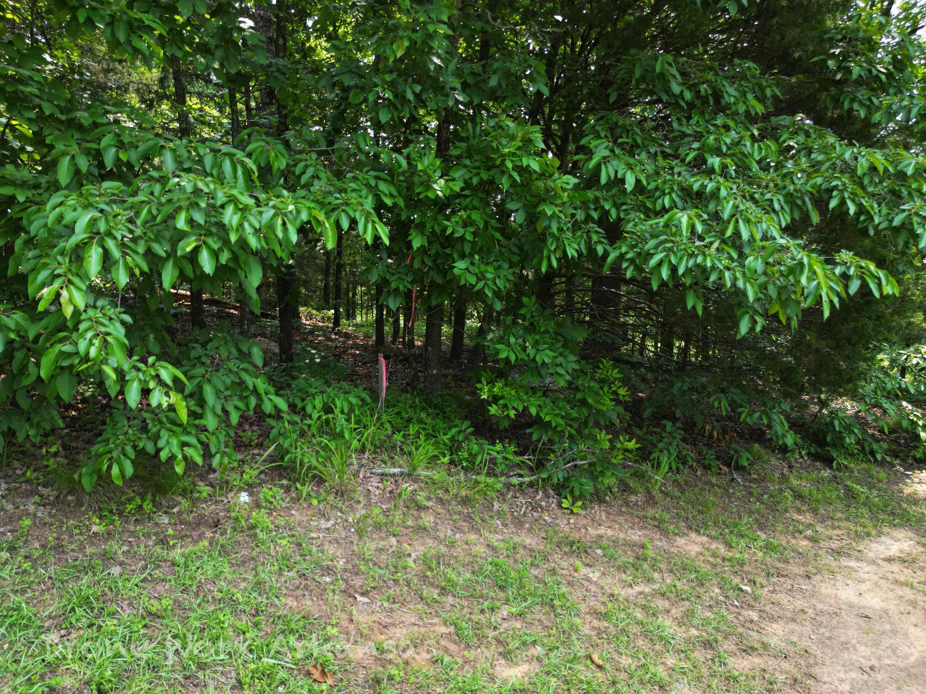 000 Lost Creek Parkway Property Photo 31