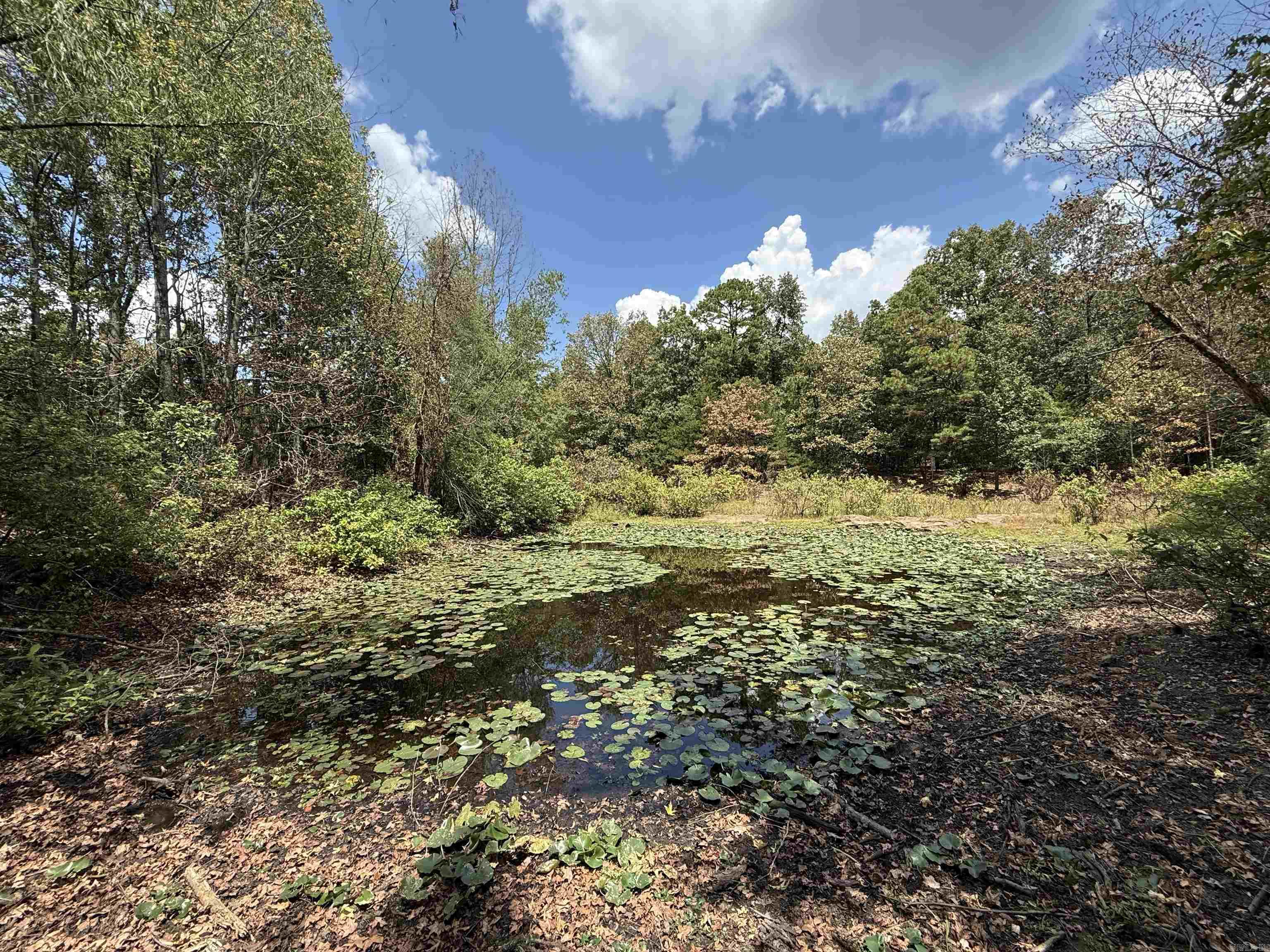 000 E. Club Rd. Property Photo 6