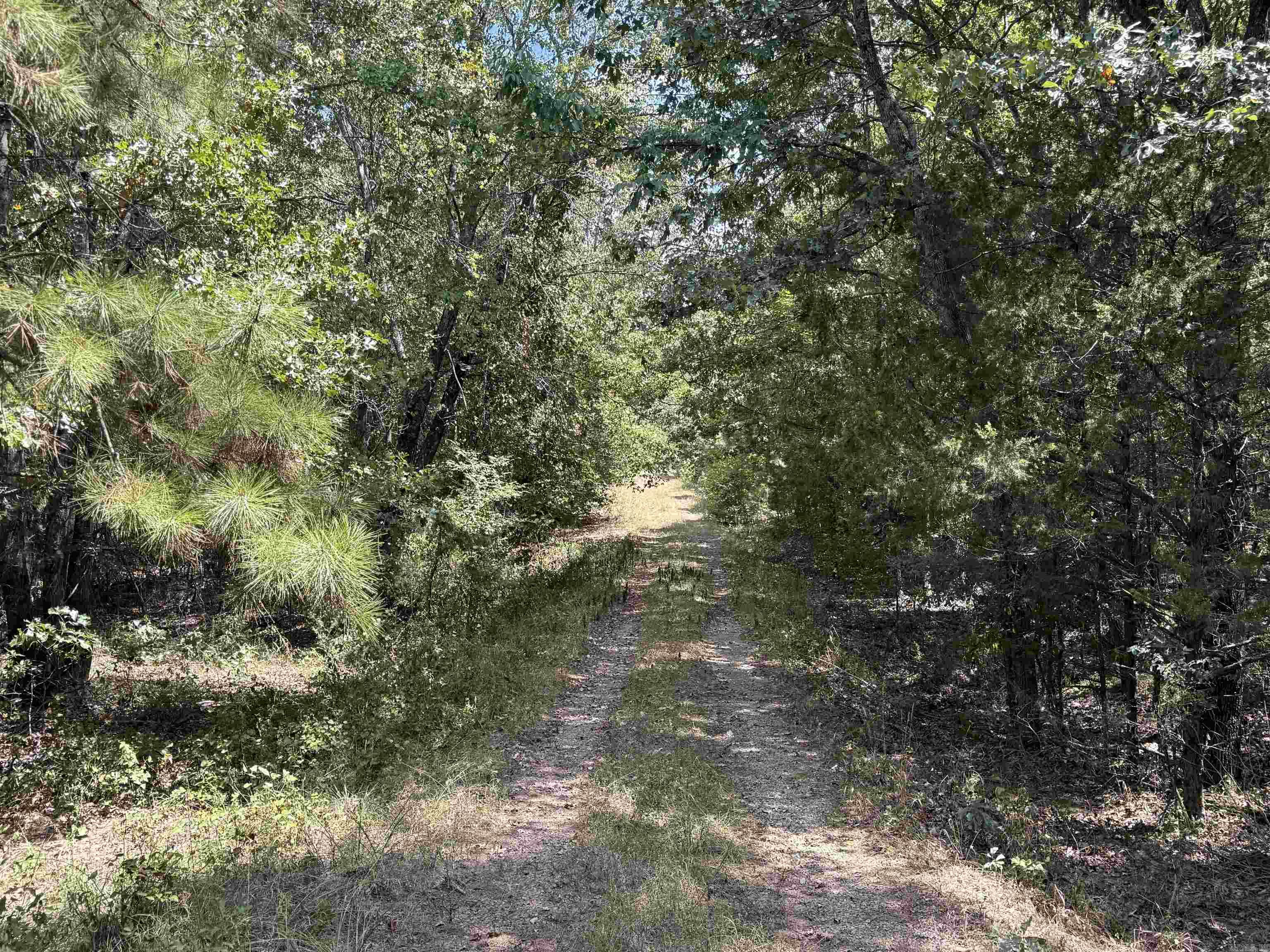000 E. Club Rd. Property Photo 12