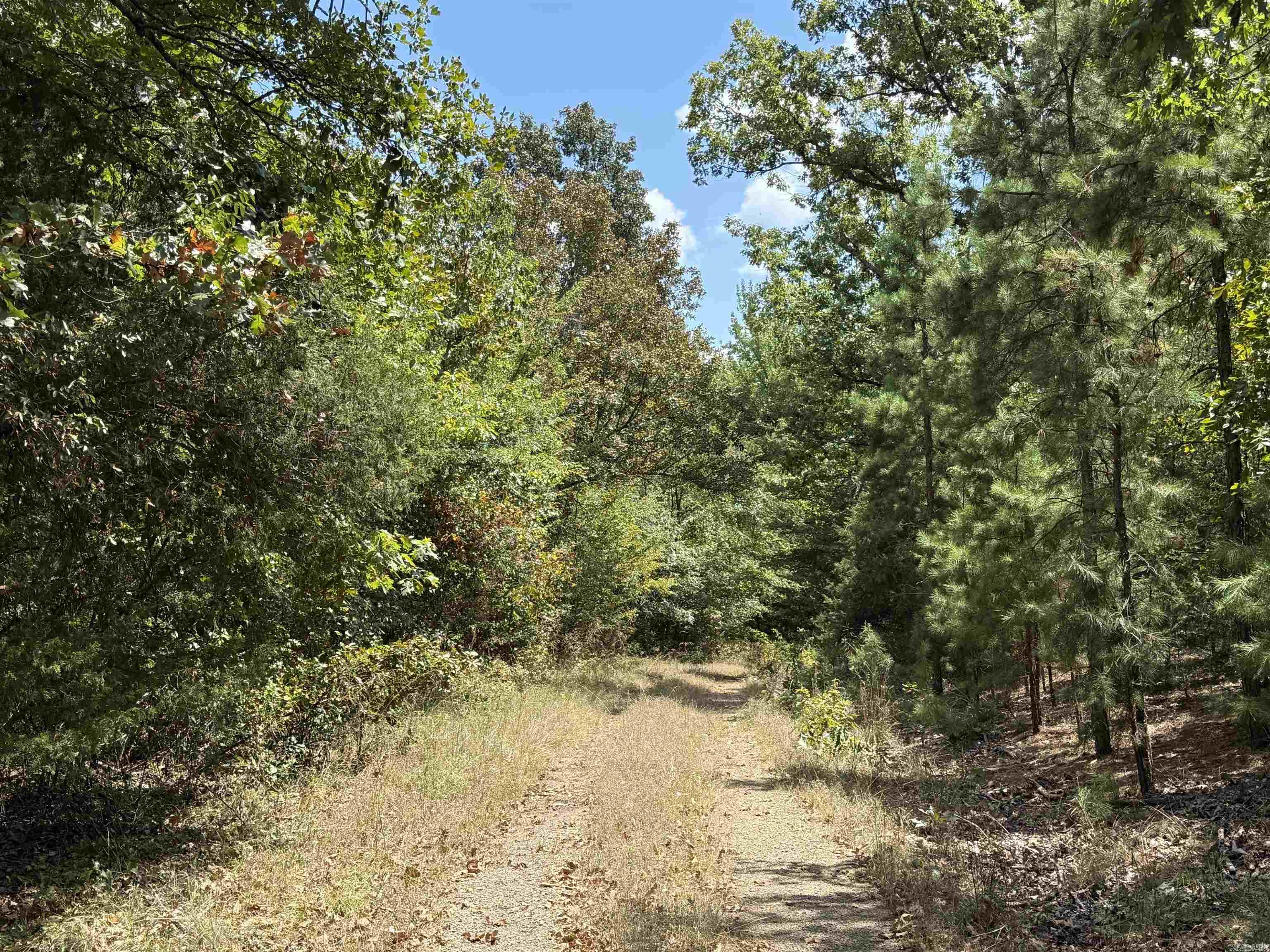 000 E. Club Rd. Property Photo 13