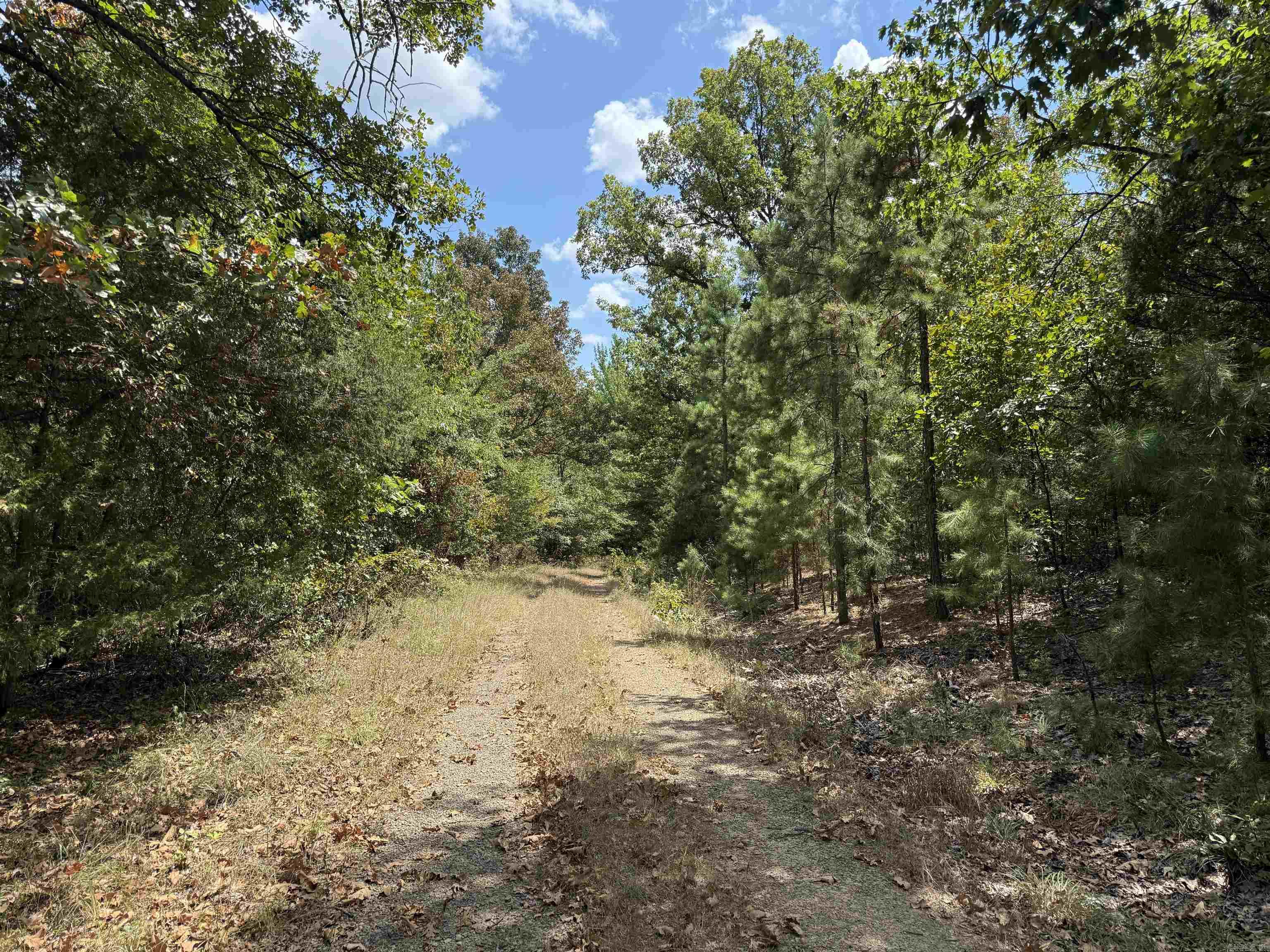 000 E. Club Rd. Property Photo 14
