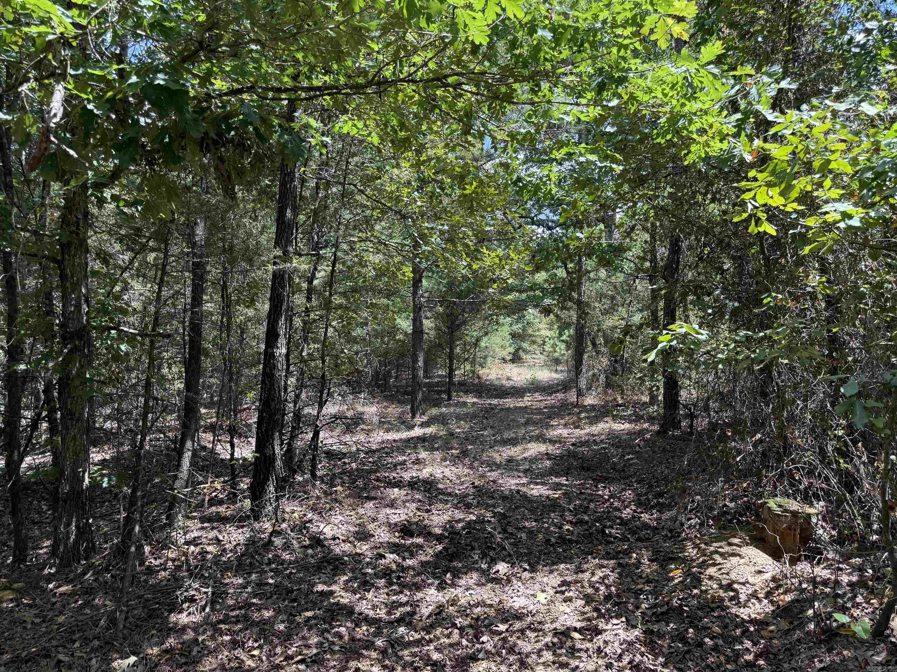 000 E. Club Rd. Property Photo 15