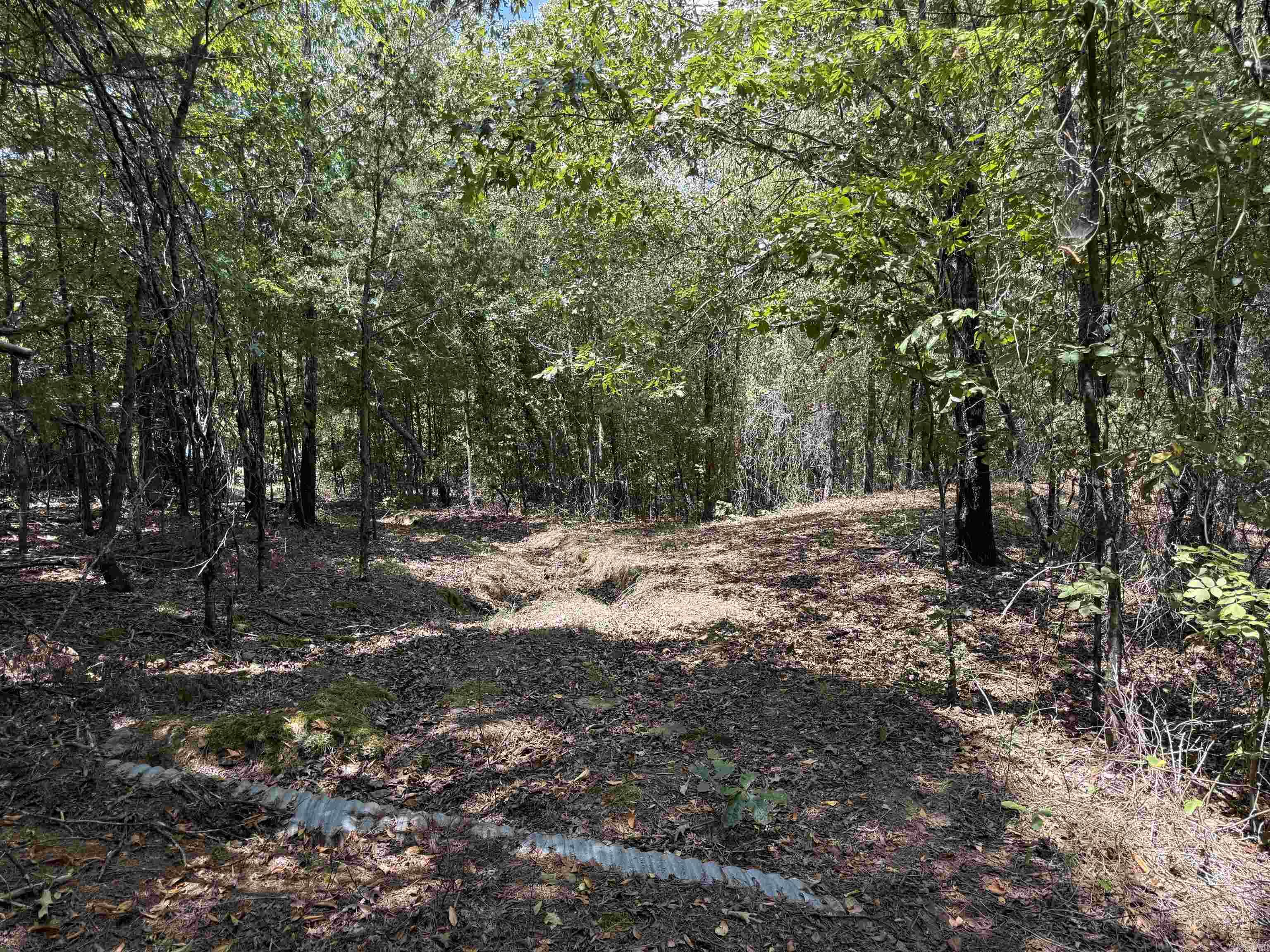 000 E. Club Rd. Property Photo 16
