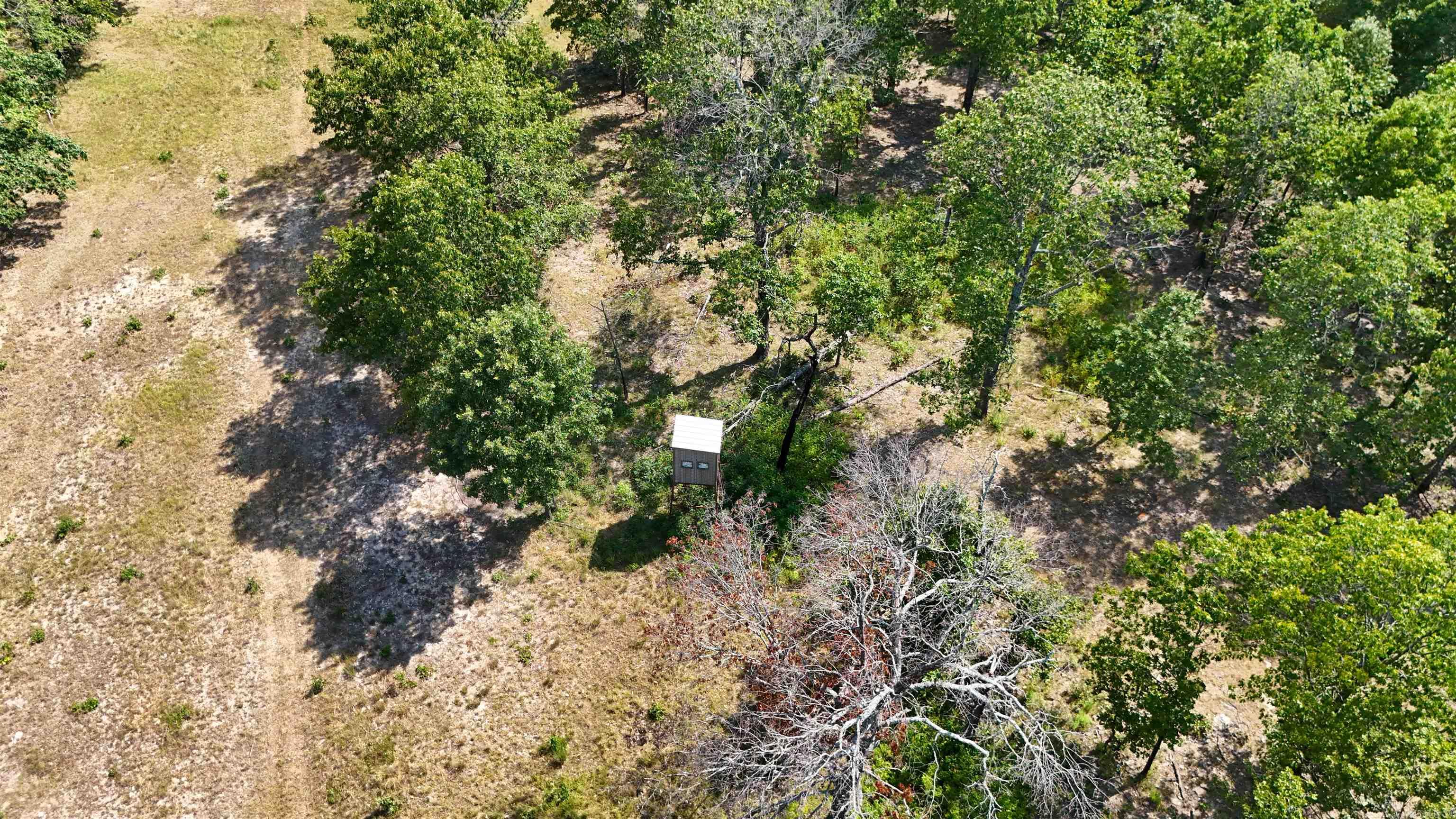 0 Corinth Rd Road Property Photo 13
