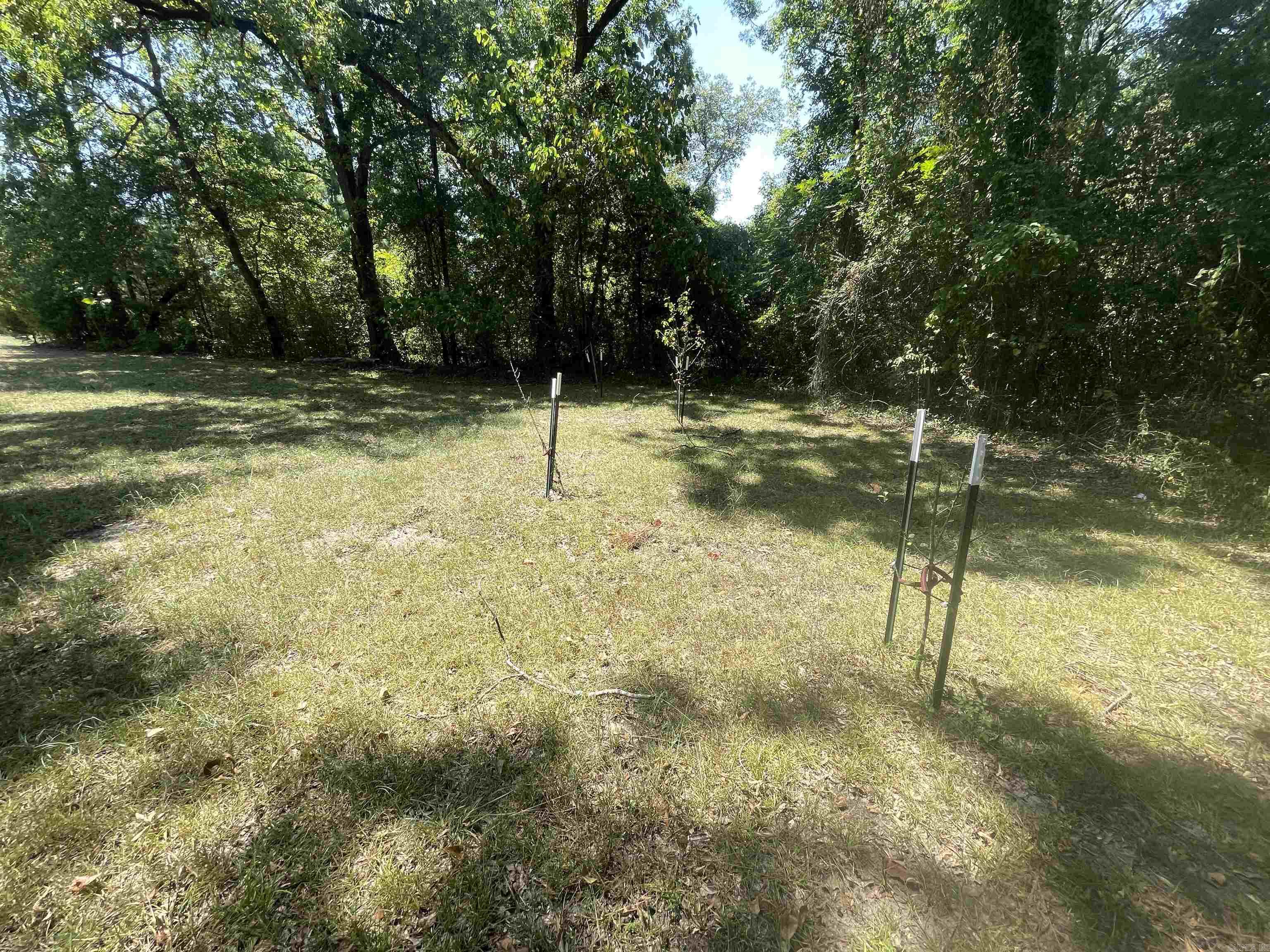428 Maple St Property Photo 3