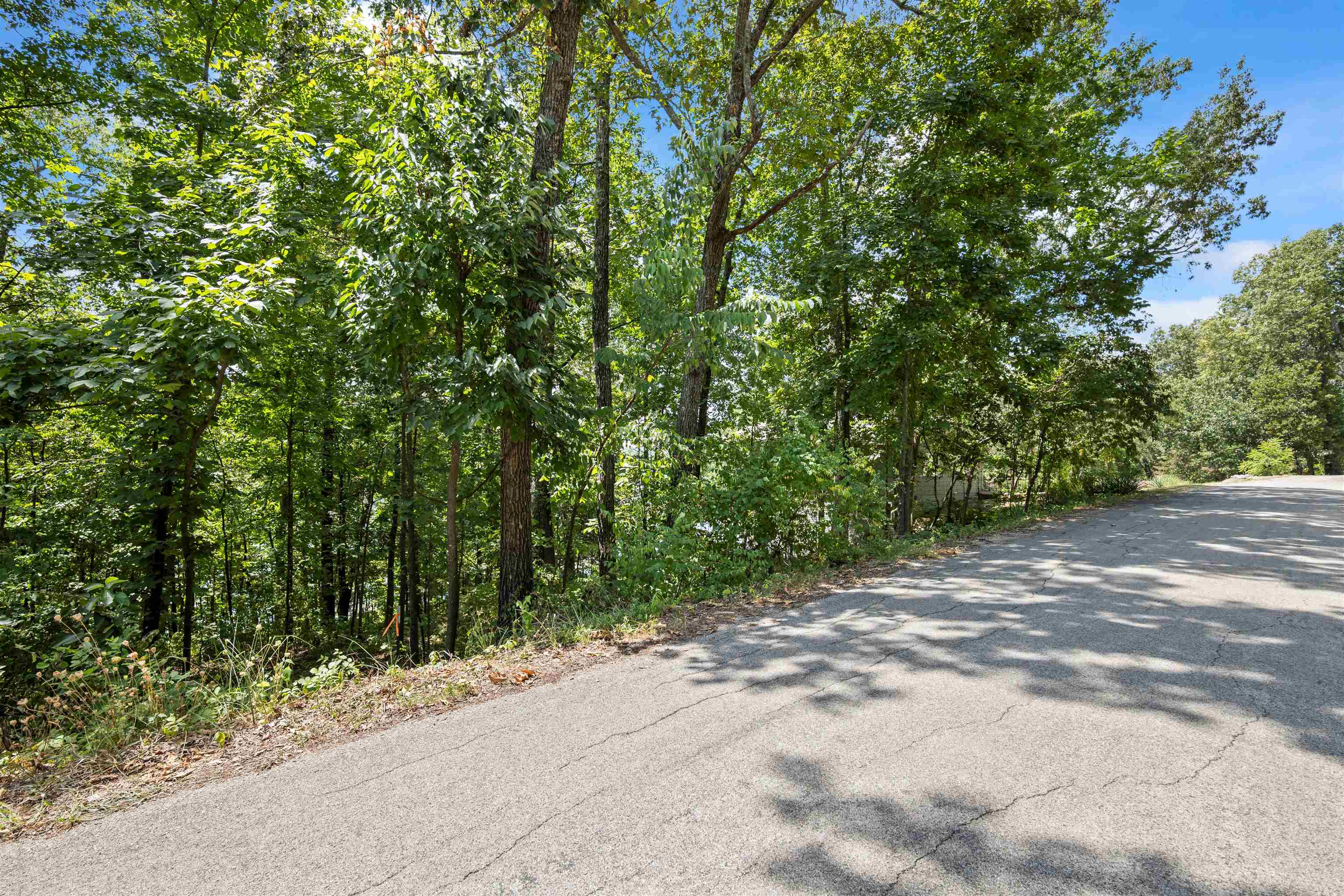 N Lakeshore Drive Property Photo 8