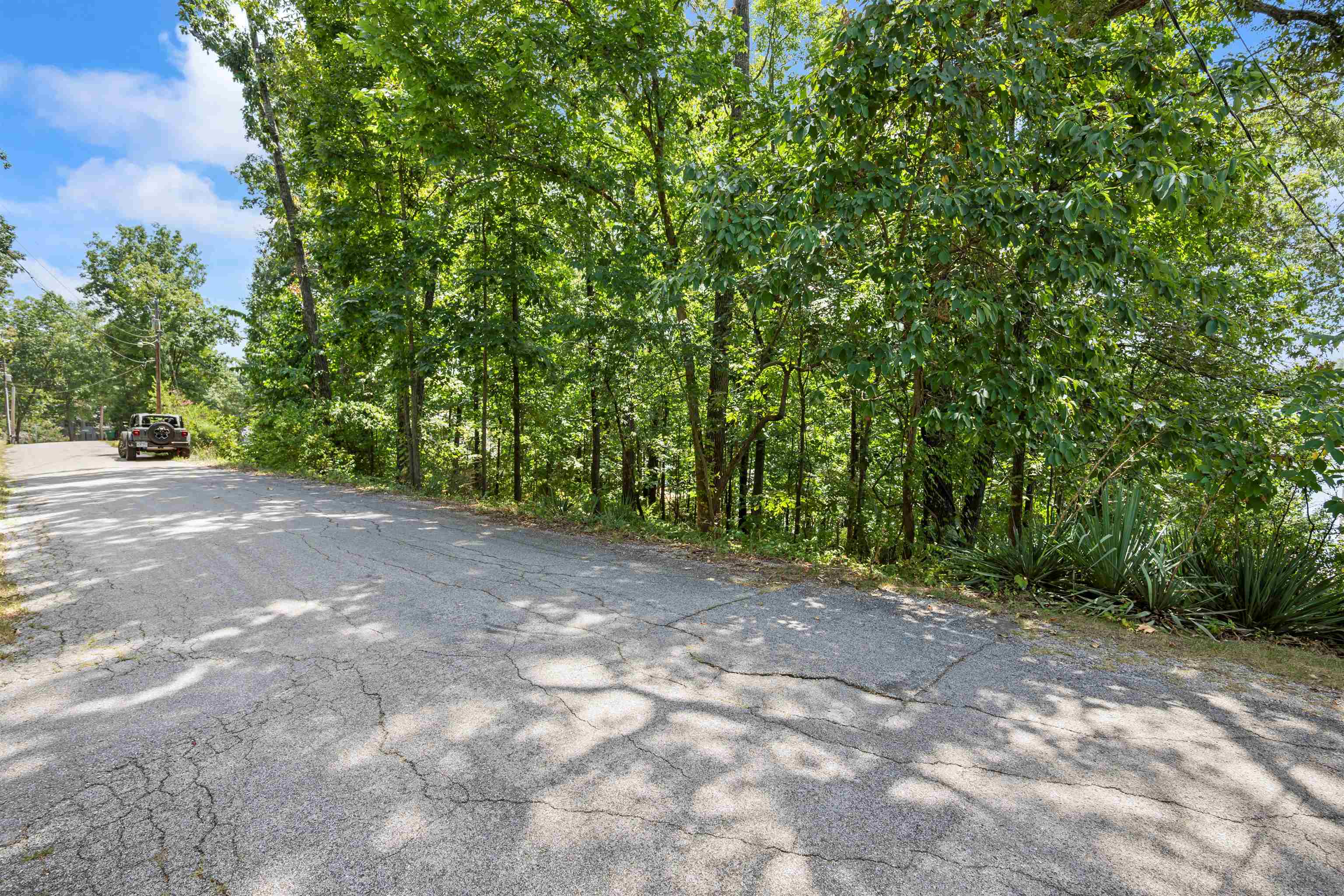 N Lakeshore Drive Property Photo 10