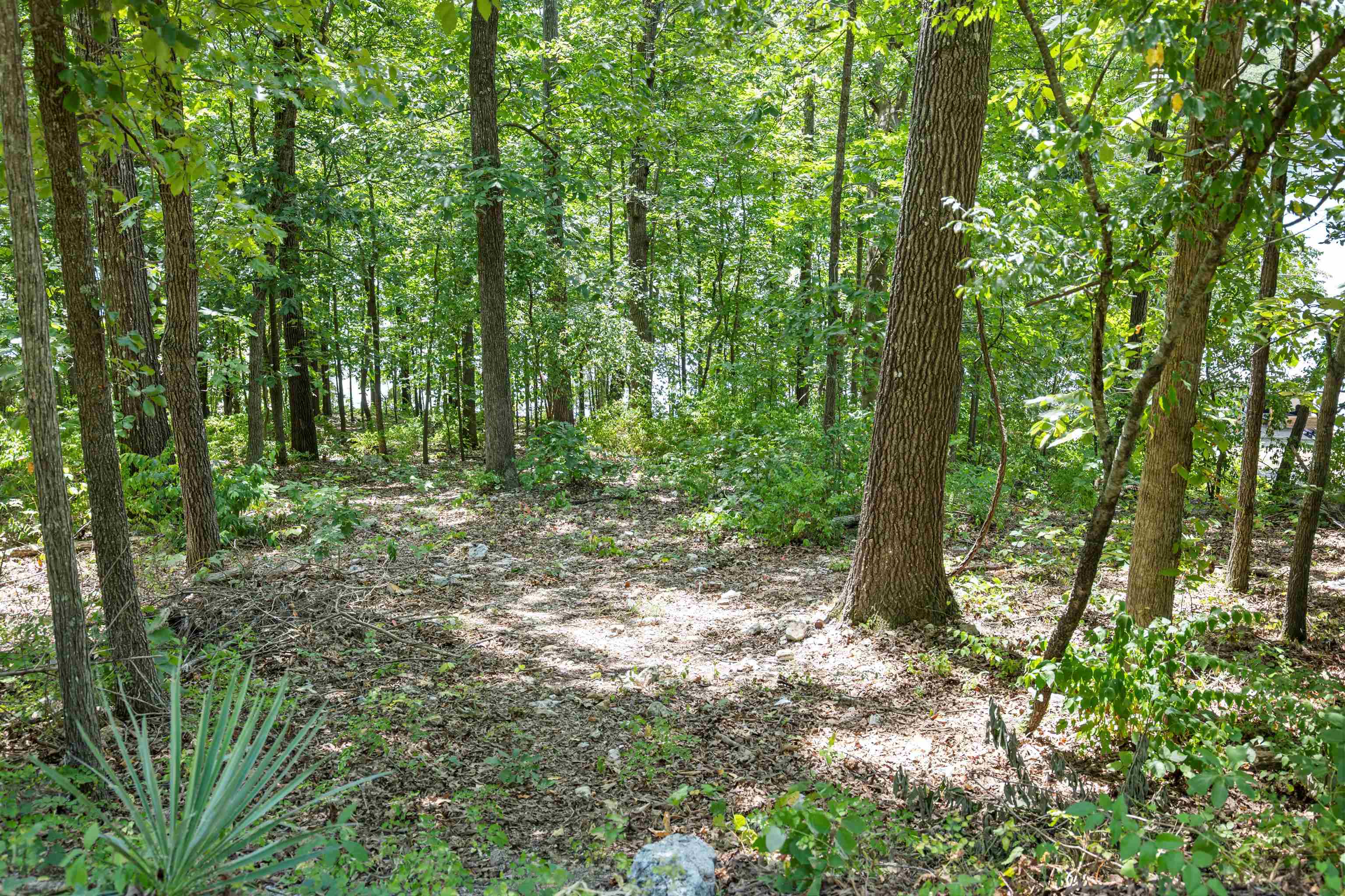 N Lakeshore Drive Property Photo 22