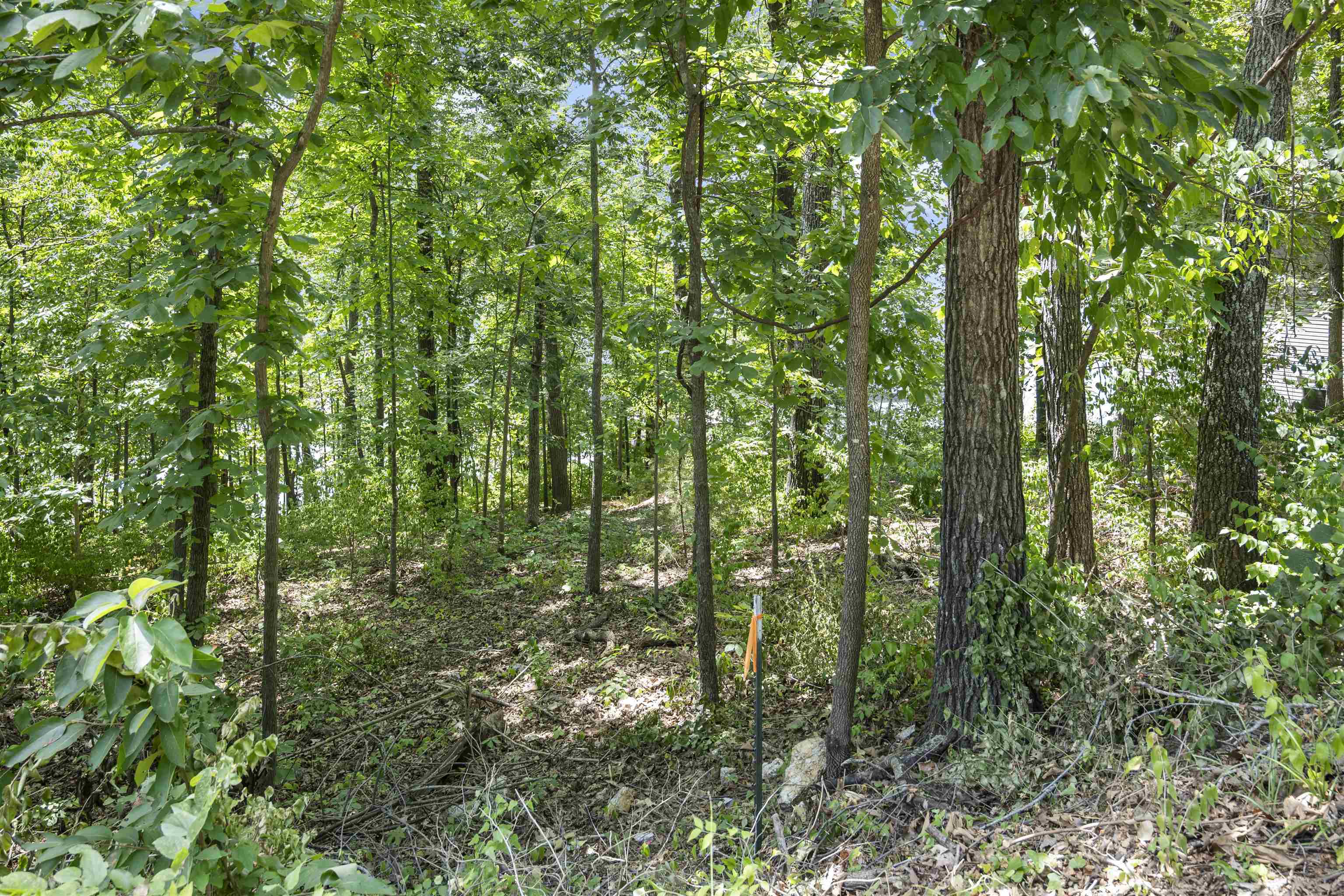 N Lakeshore Drive Property Photo 23