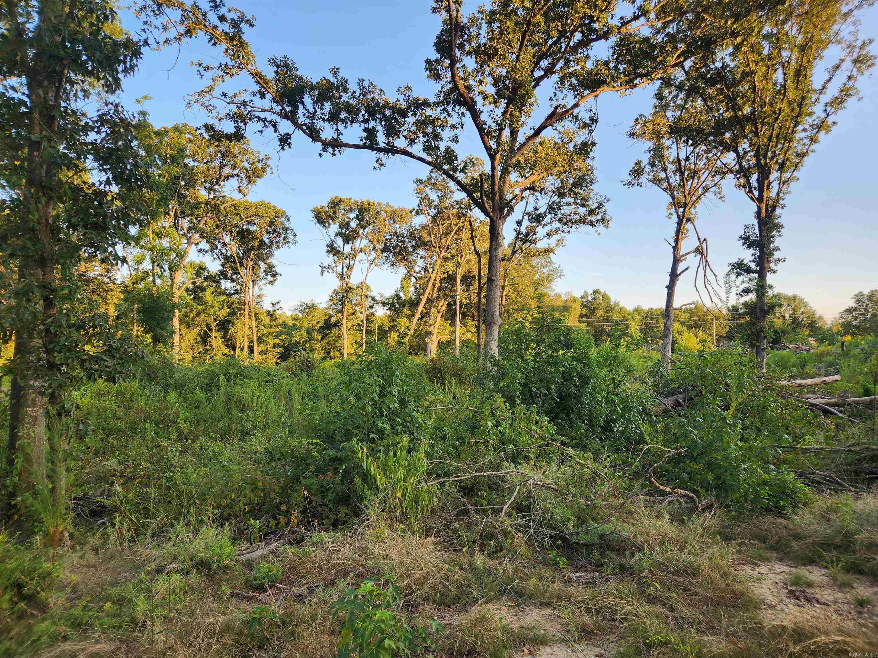 567 Eagle Road Property Photo 7