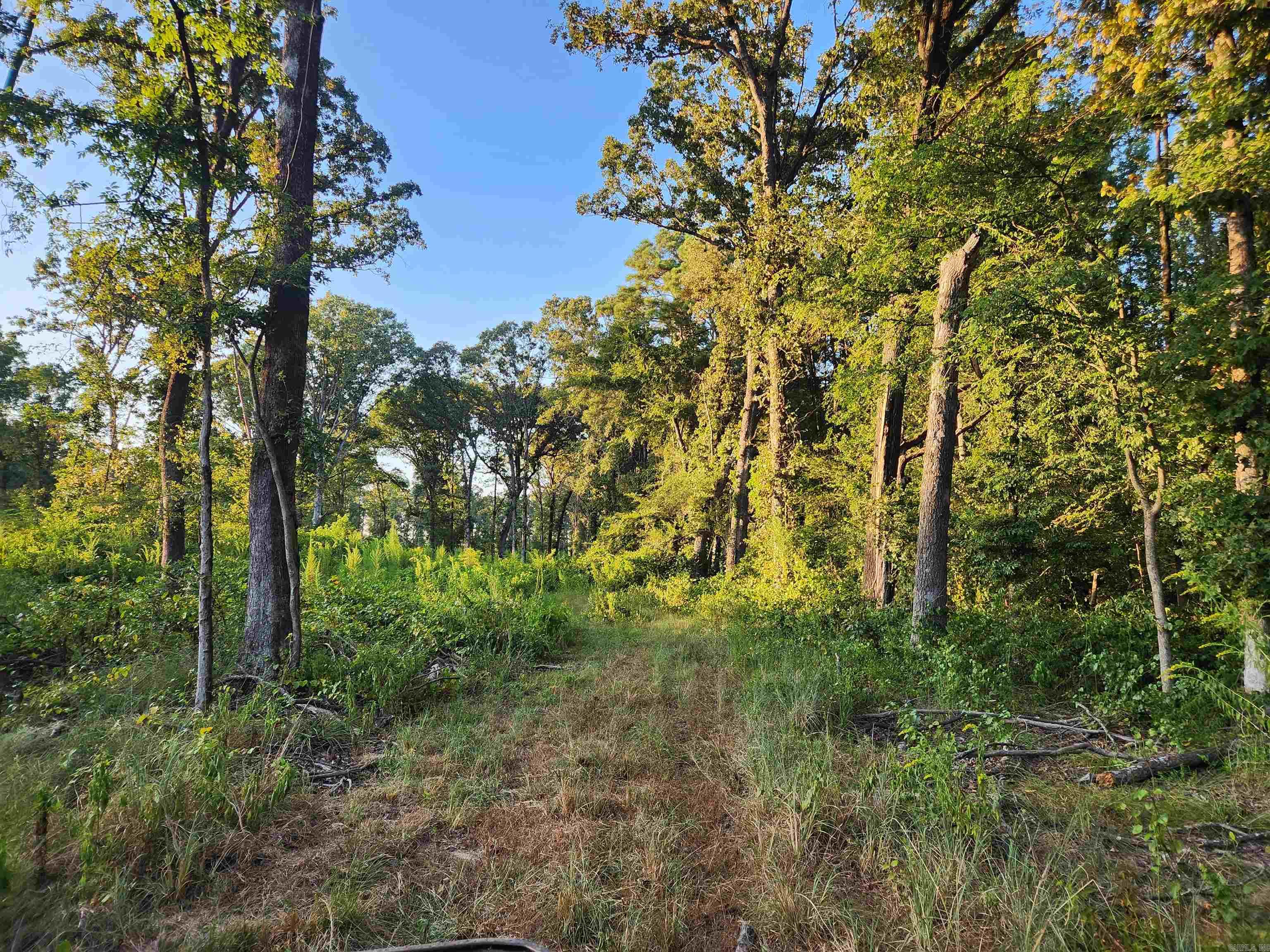 567 Eagle Road Property Photo 8