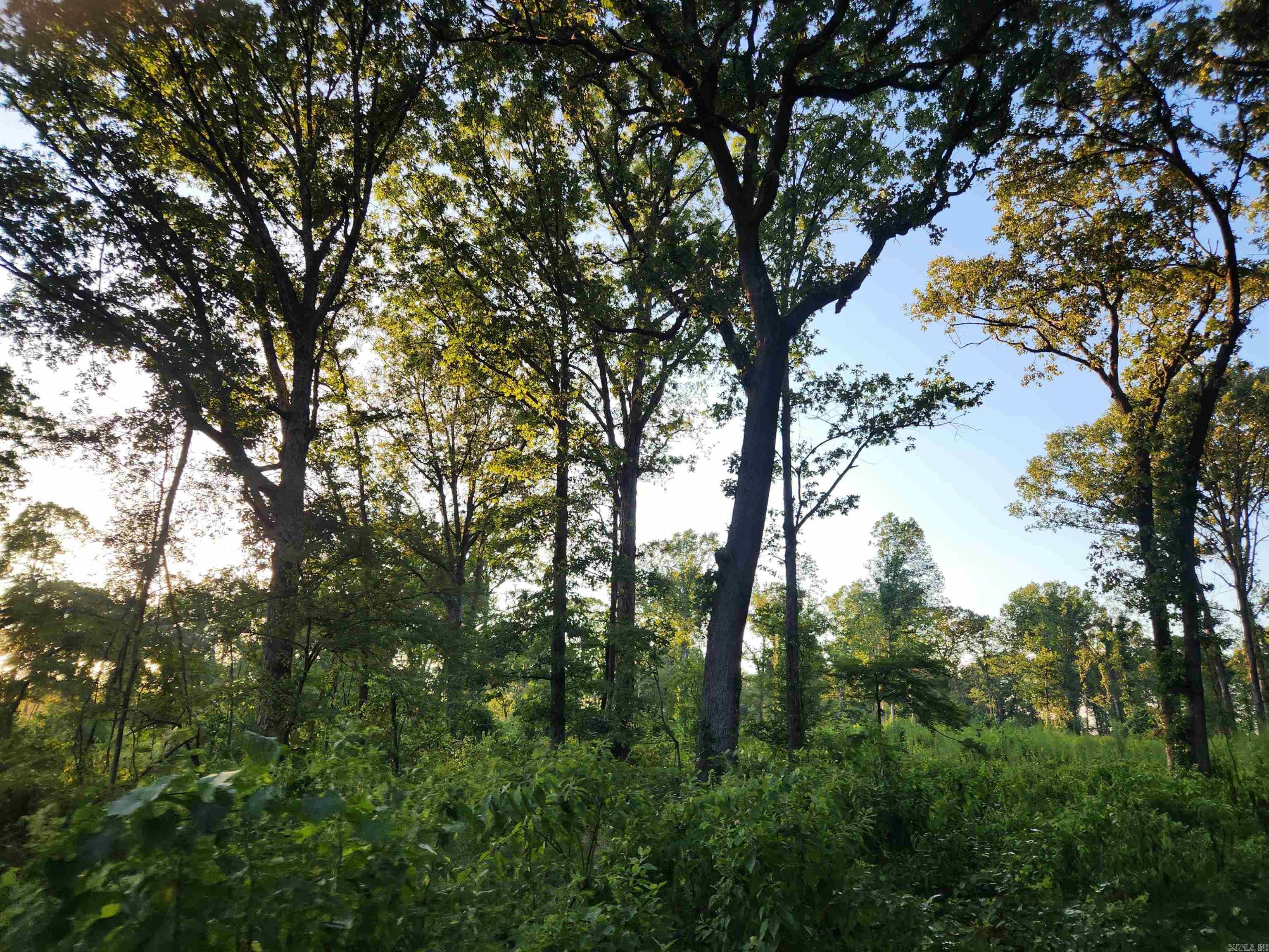 567 Eagle Road Property Photo 10