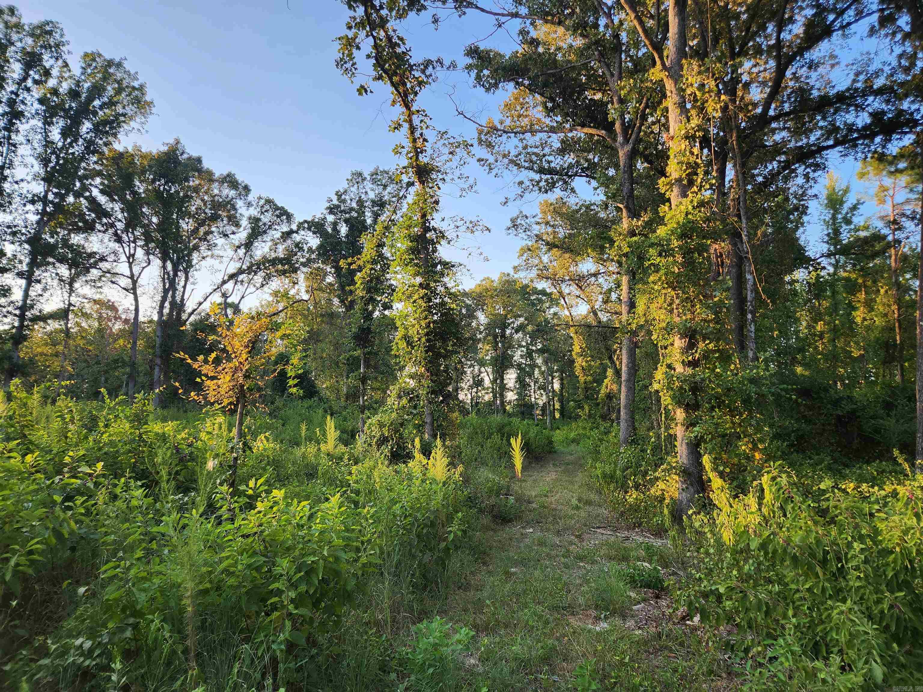 567 Eagle Road Property Photo 12