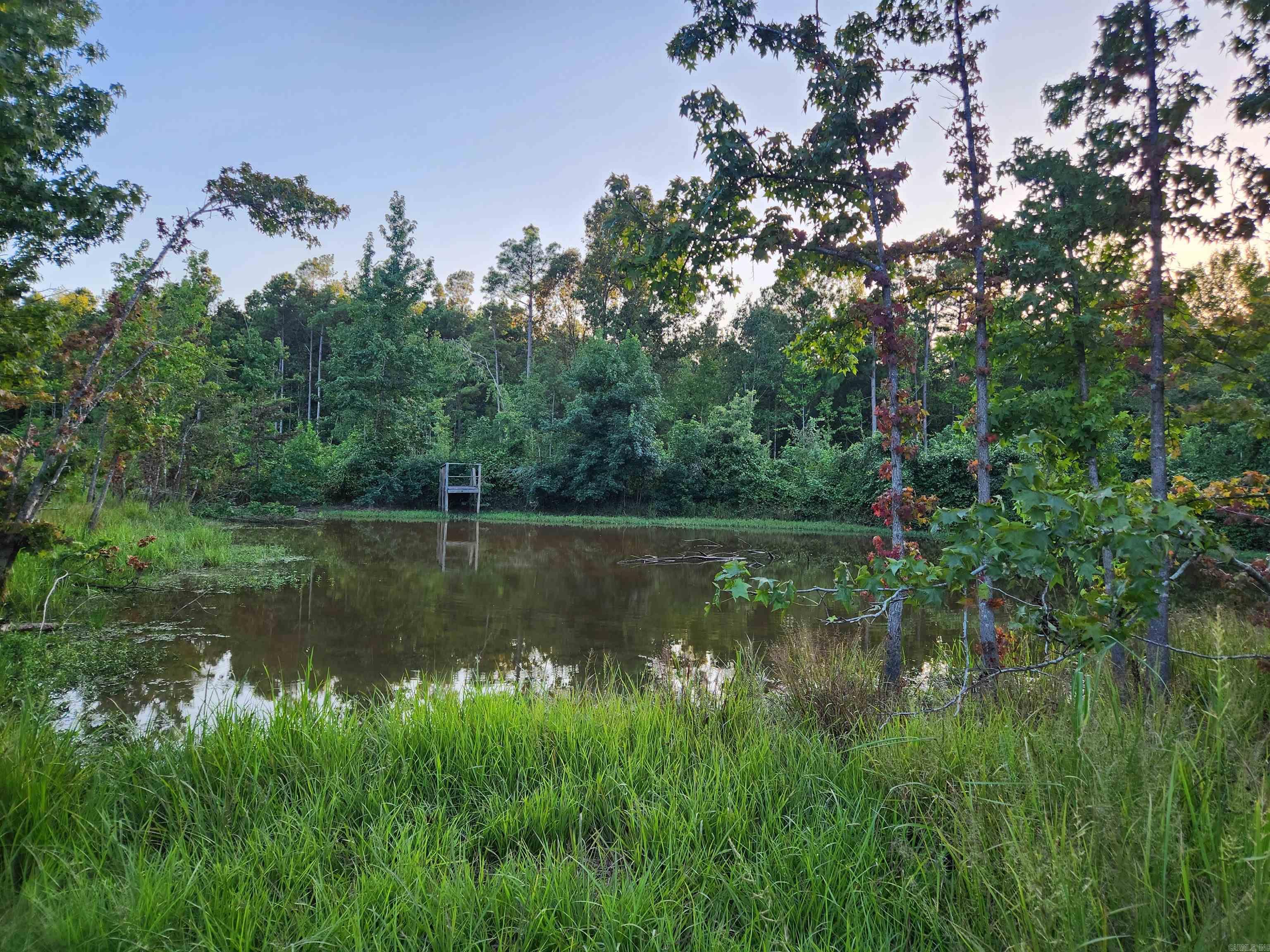 567 Eagle Road Property Photo 14