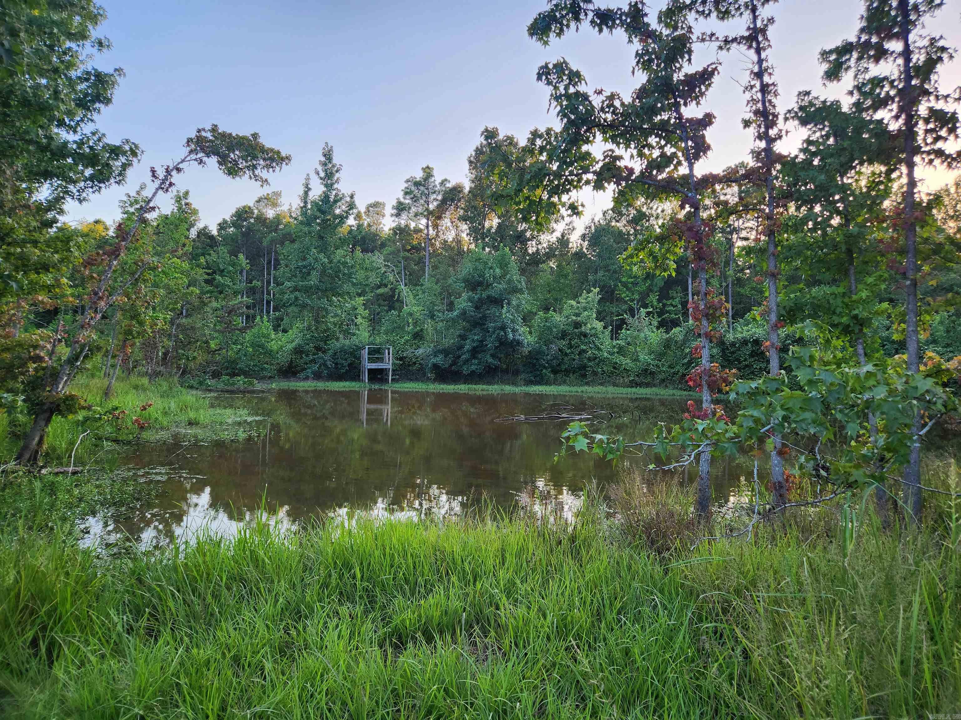 567 Eagle Road Property Photo 15