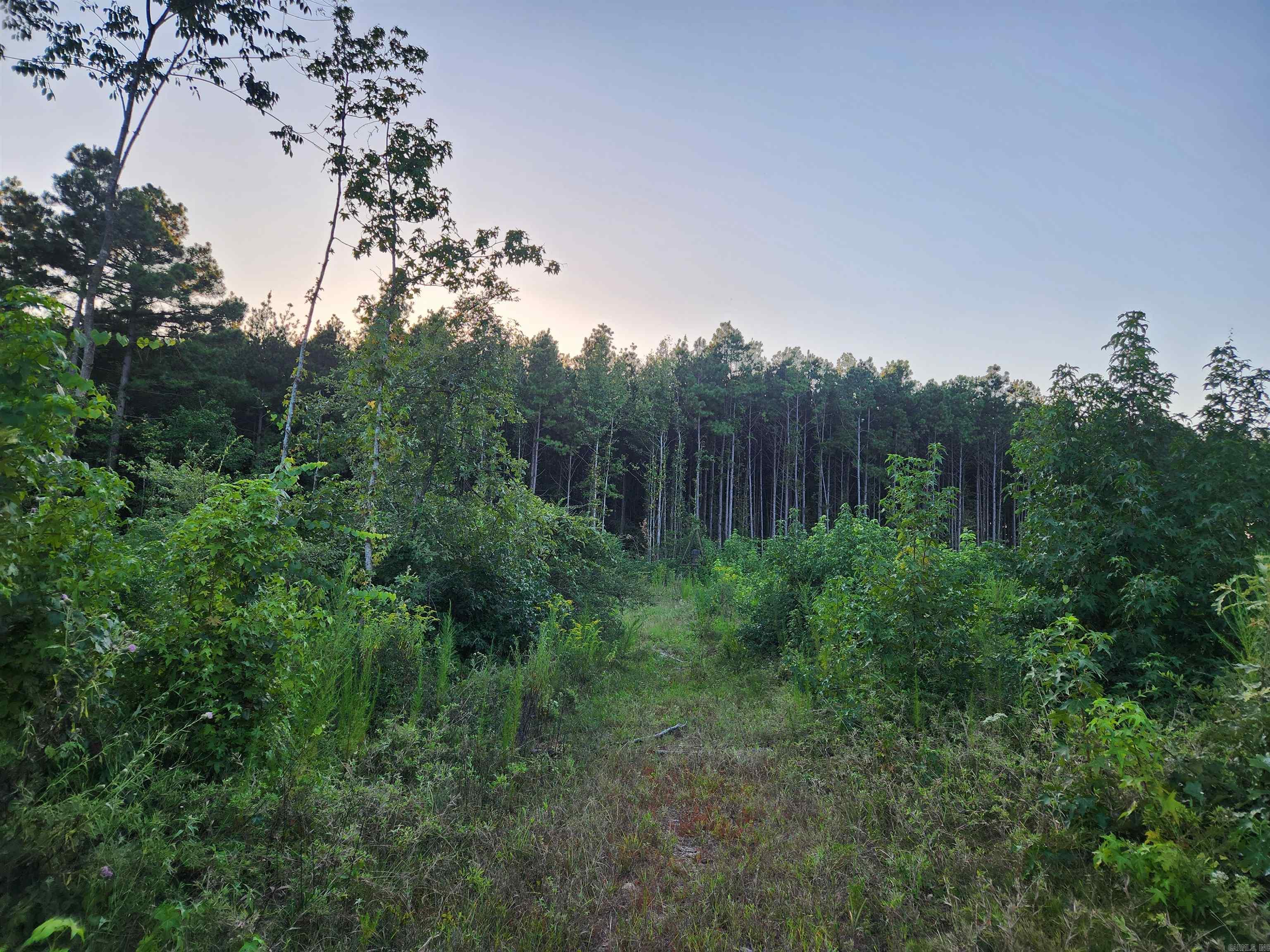 567 Eagle Road Property Photo 16