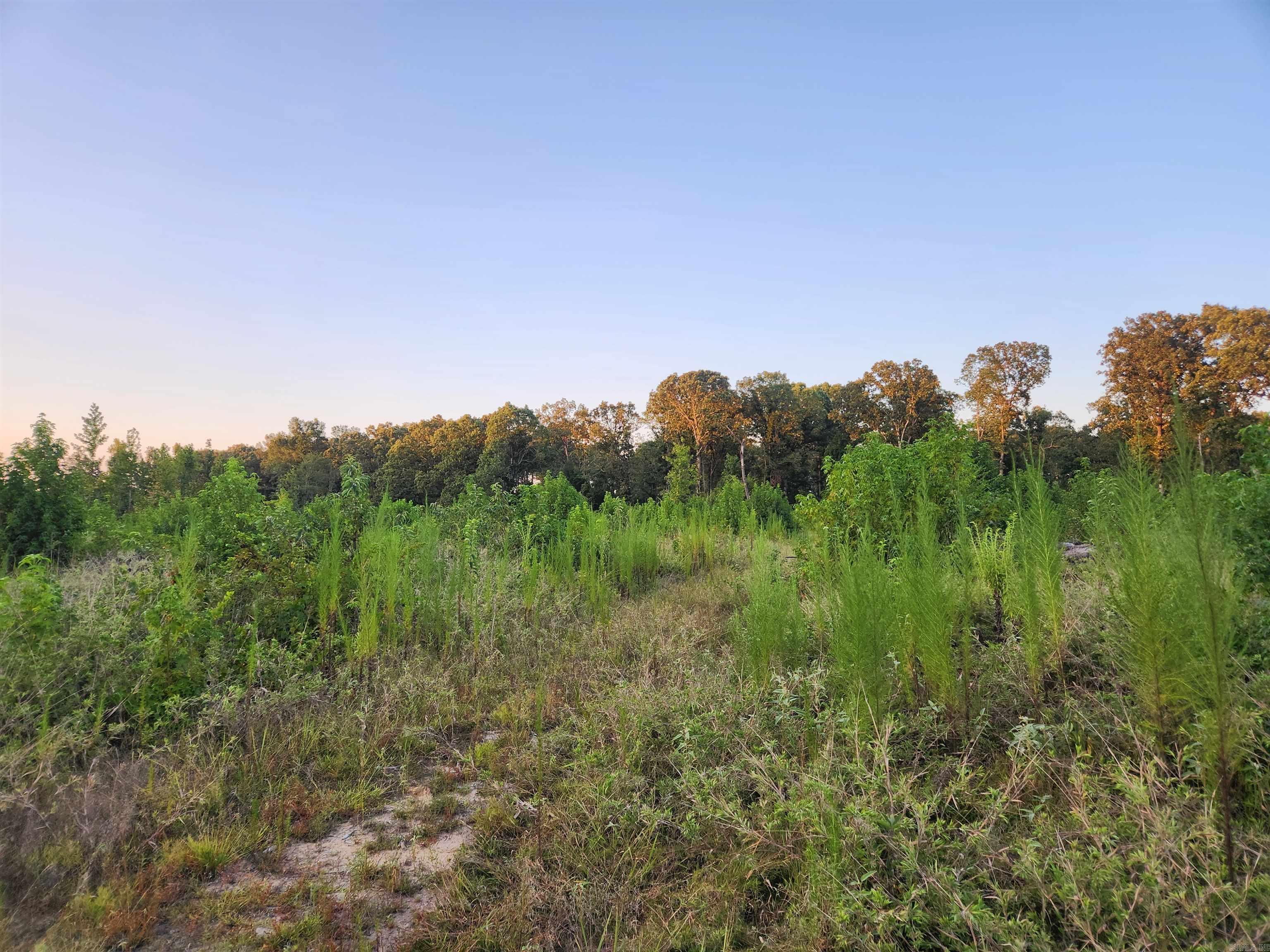 567 Eagle Road Property Photo 20