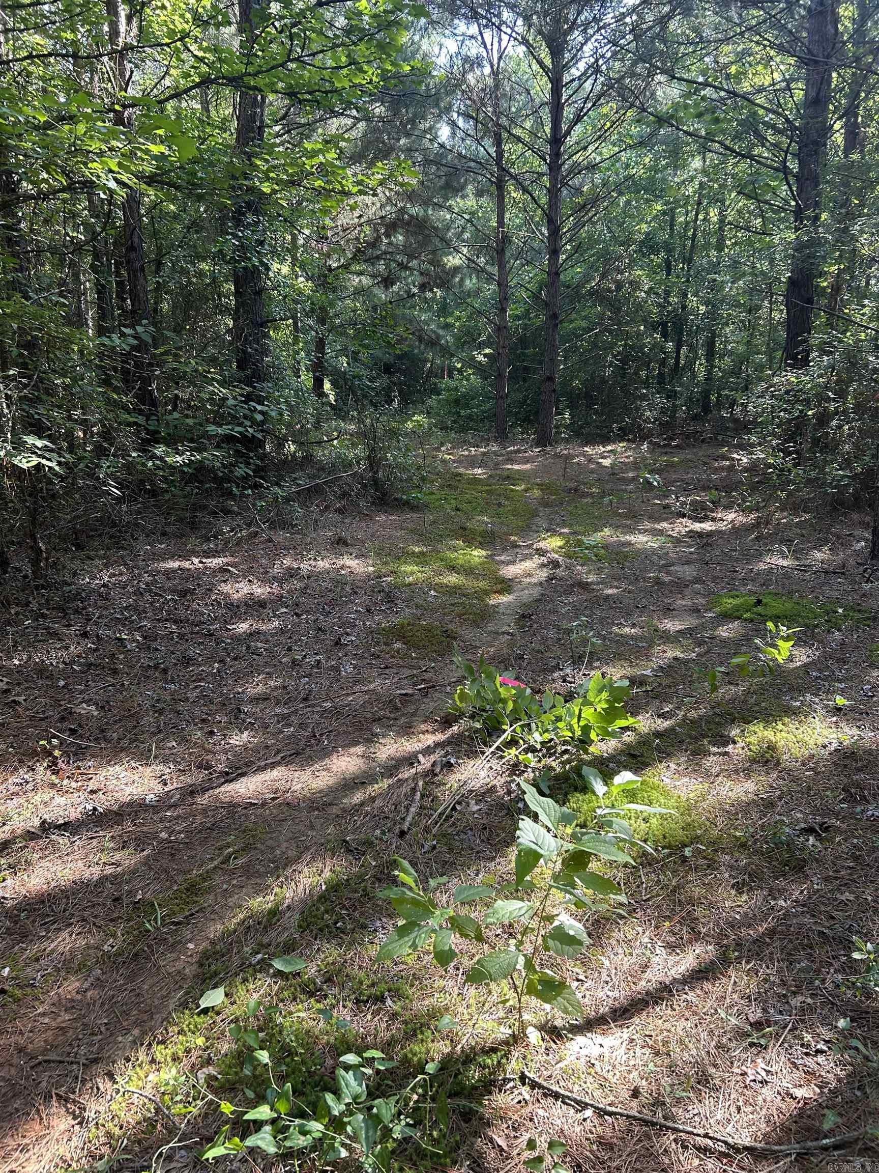 Tbd Hempstead 14 Property Photo 6