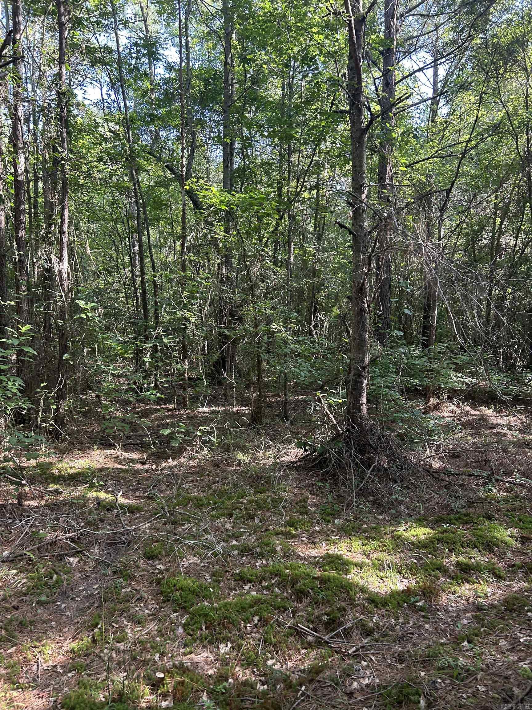 Tbd Hempstead 14 Property Photo 7