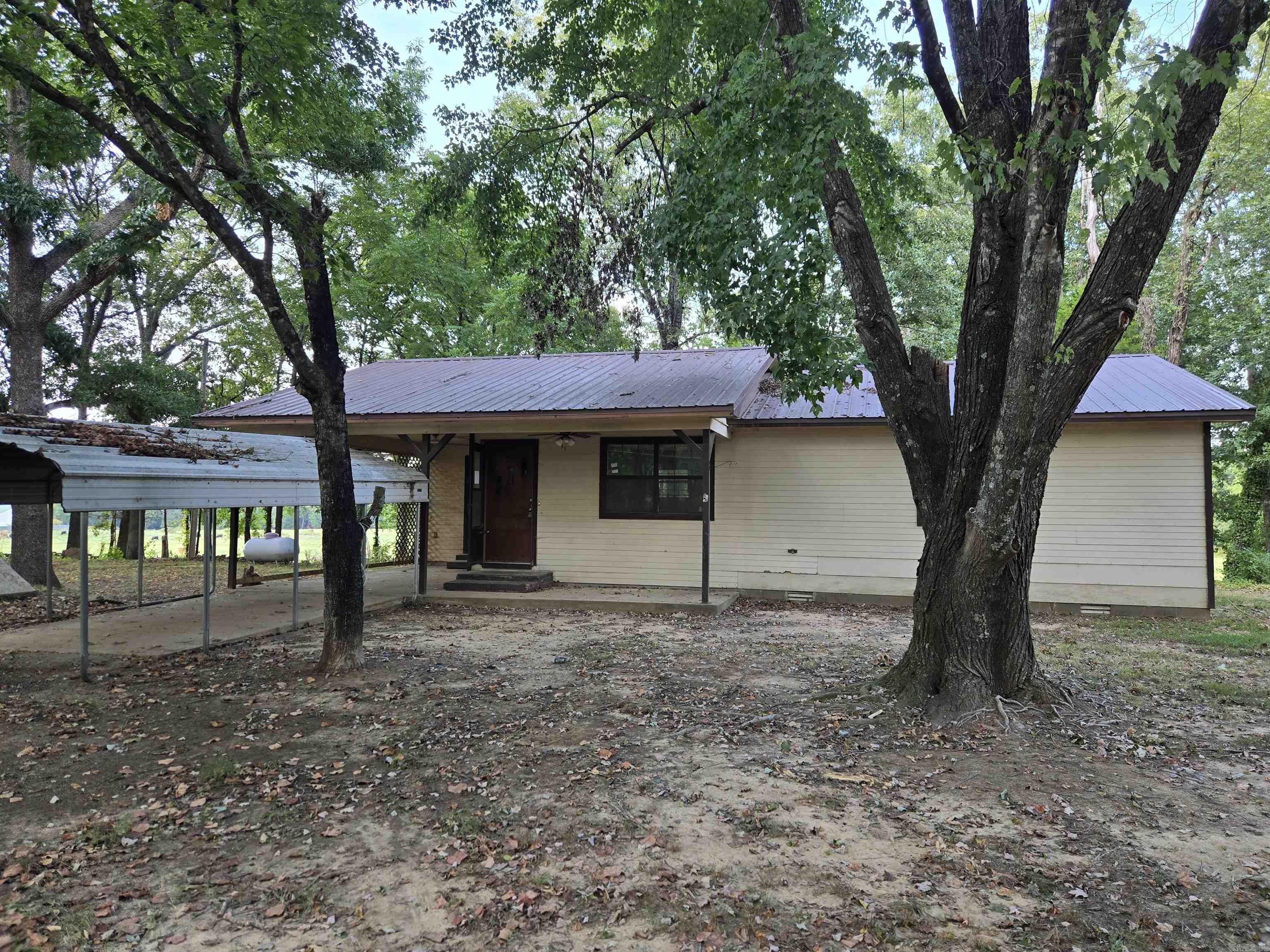117 Hargett Property Photo 4