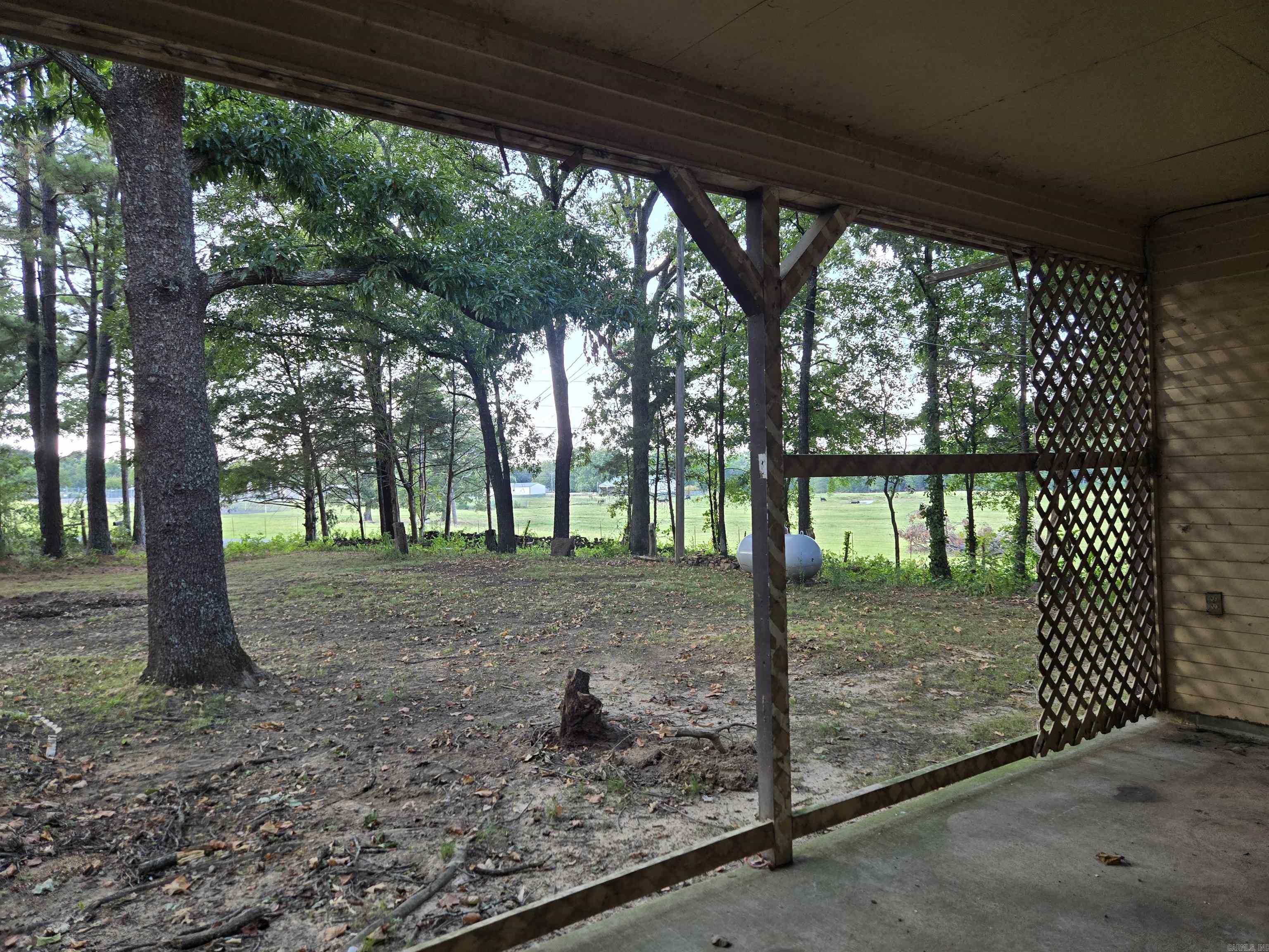 117 Hargett Property Photo 13