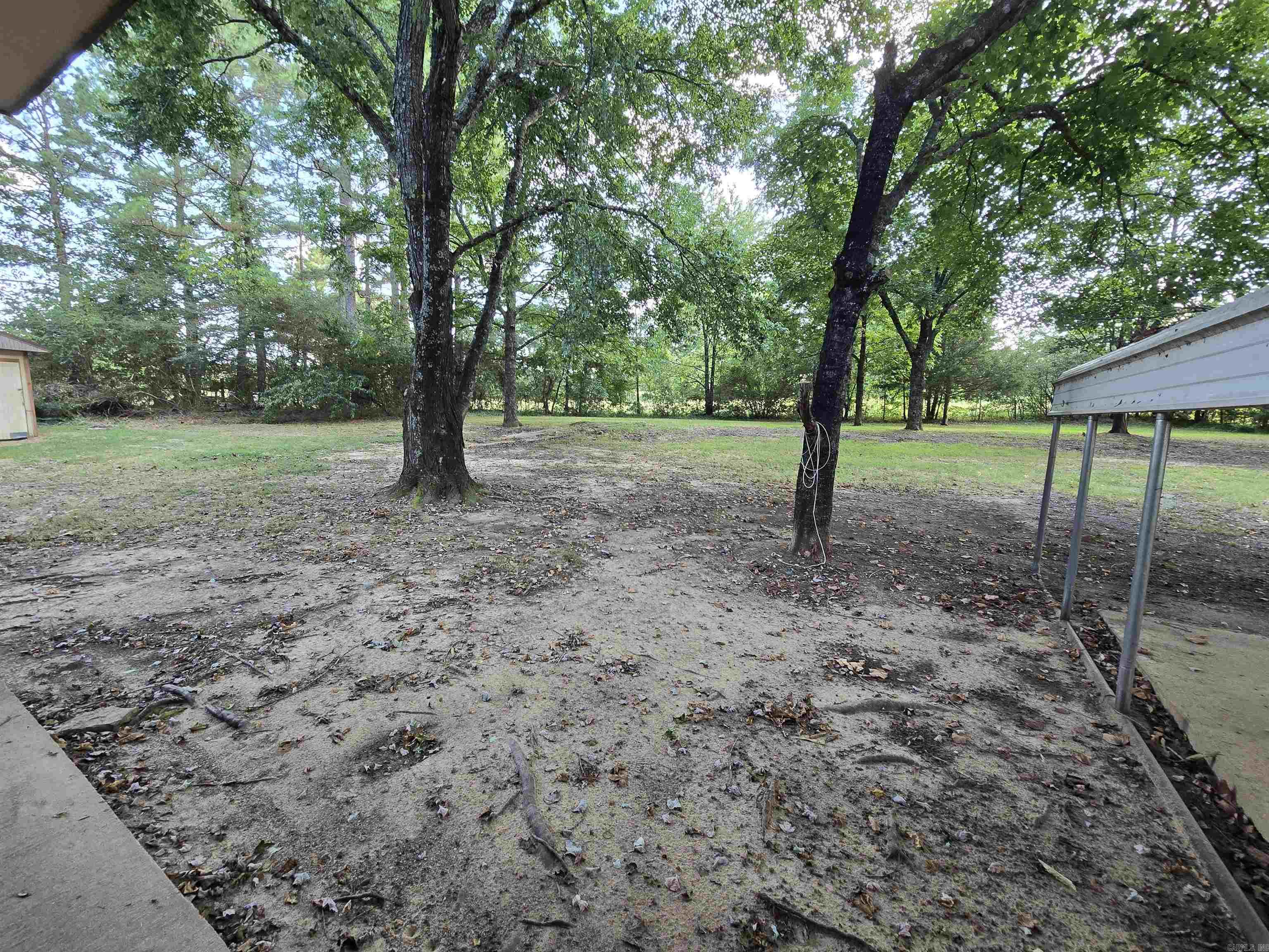 117 Hargett Property Photo 14