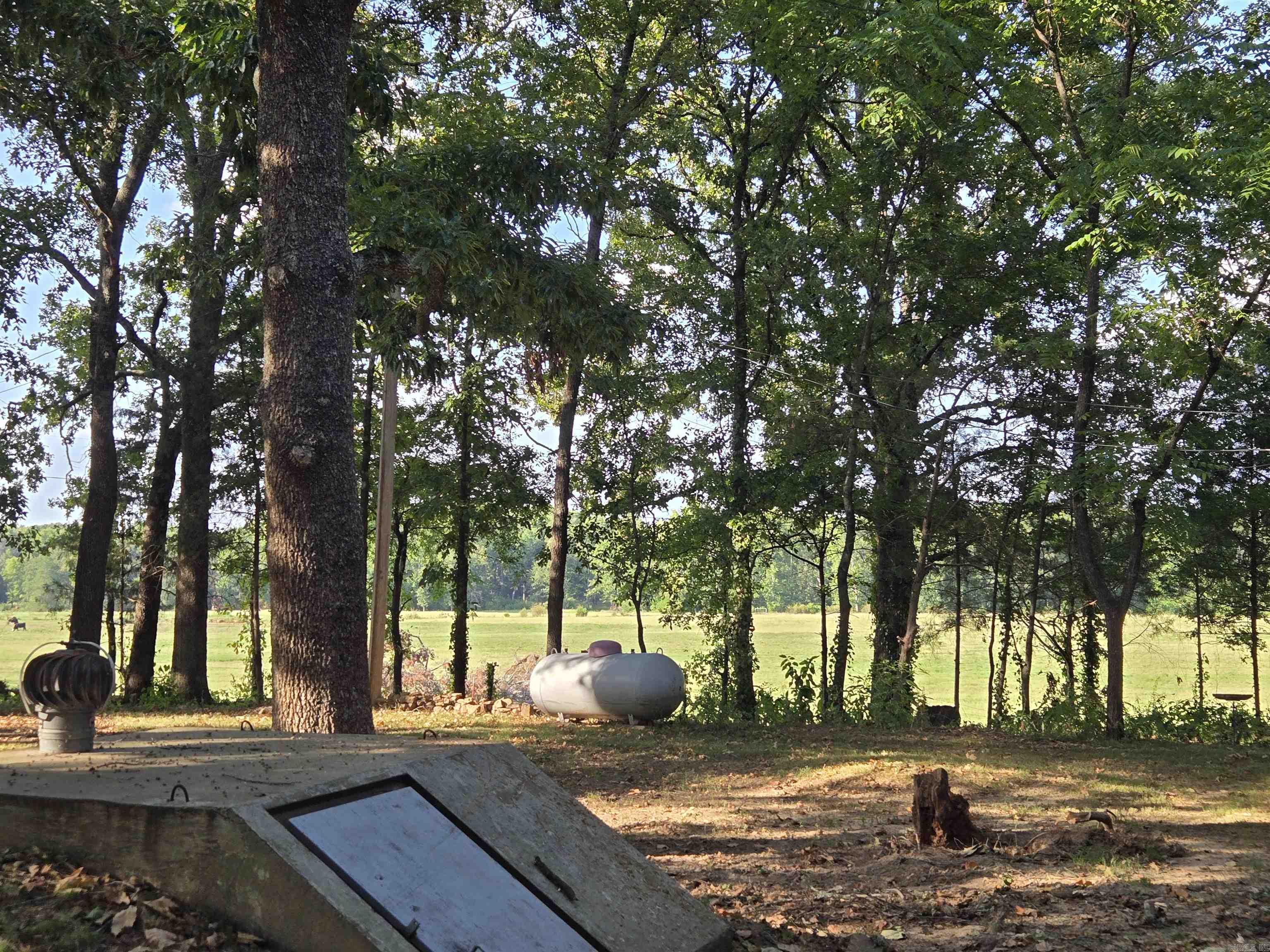 117 Hargett Property Photo 35