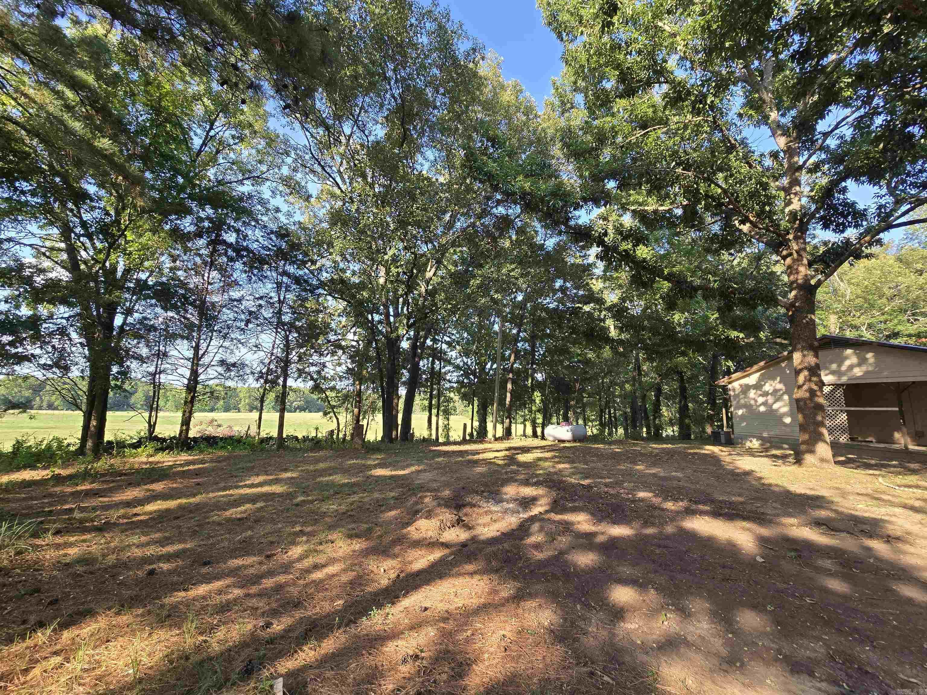 117 Hargett Property Photo 37