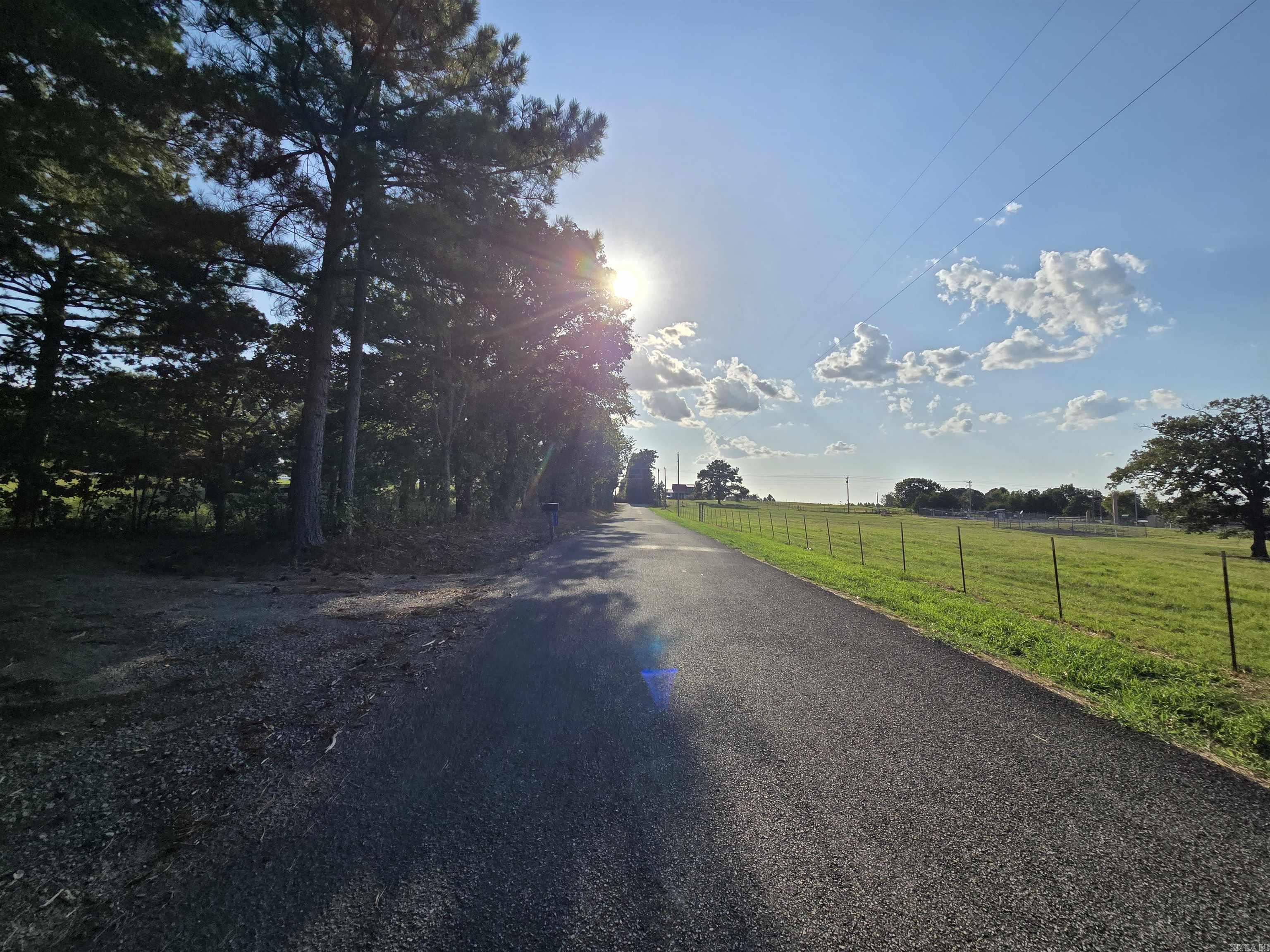 117 Hargett Property Photo 39